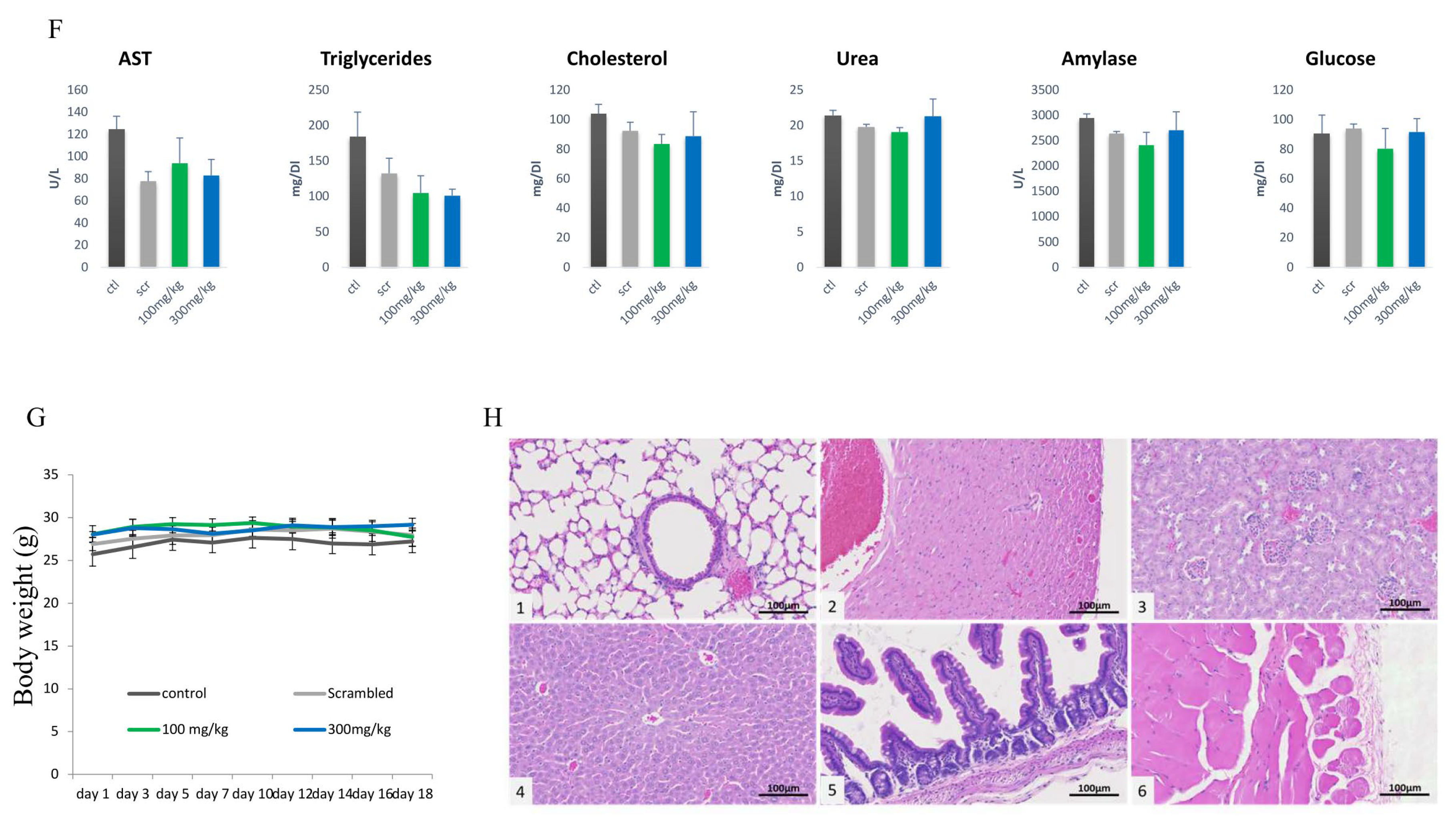 Cancers 12 01935 g005b