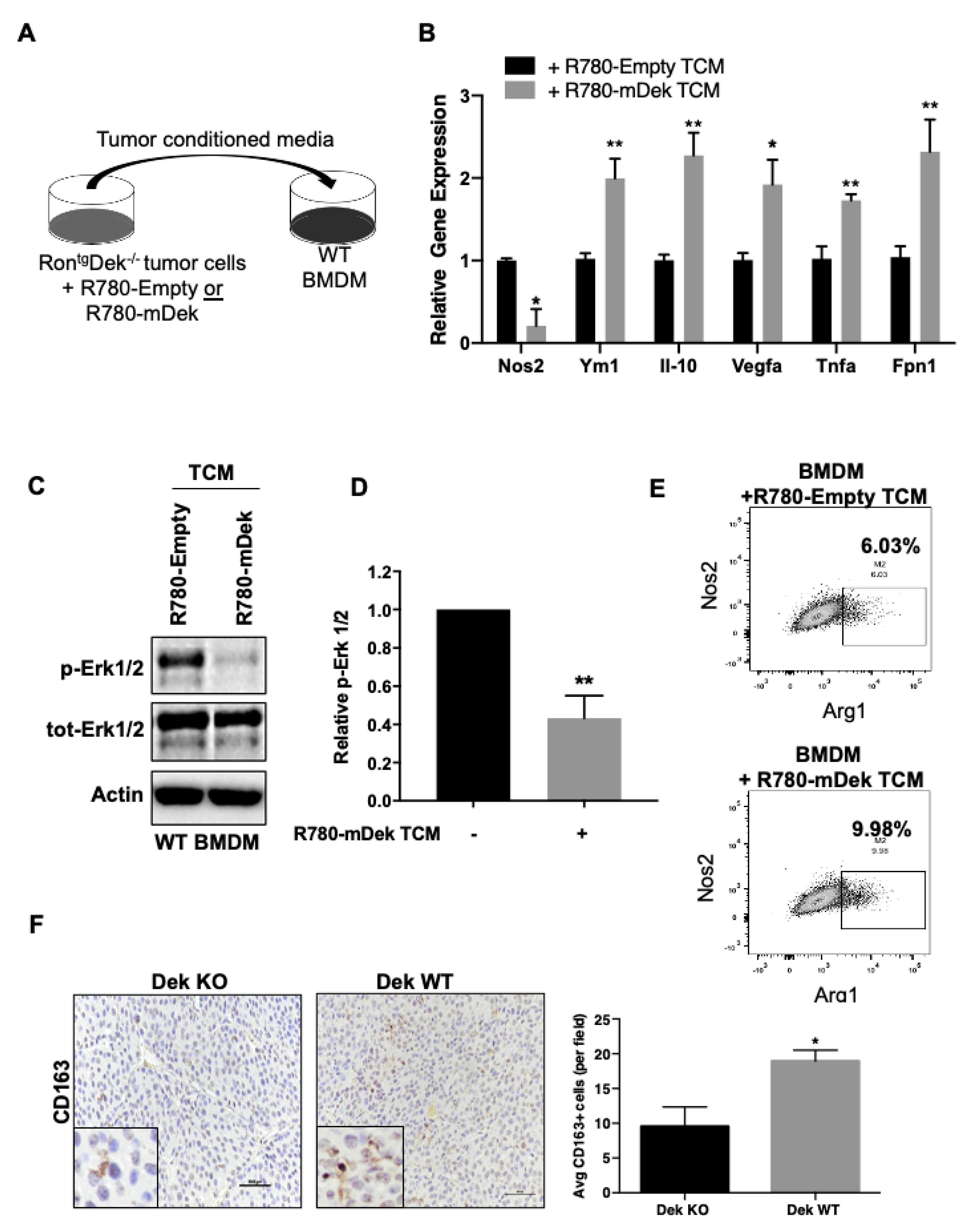 Cancers 12 01936 g003 Cancers 12 01936 g003