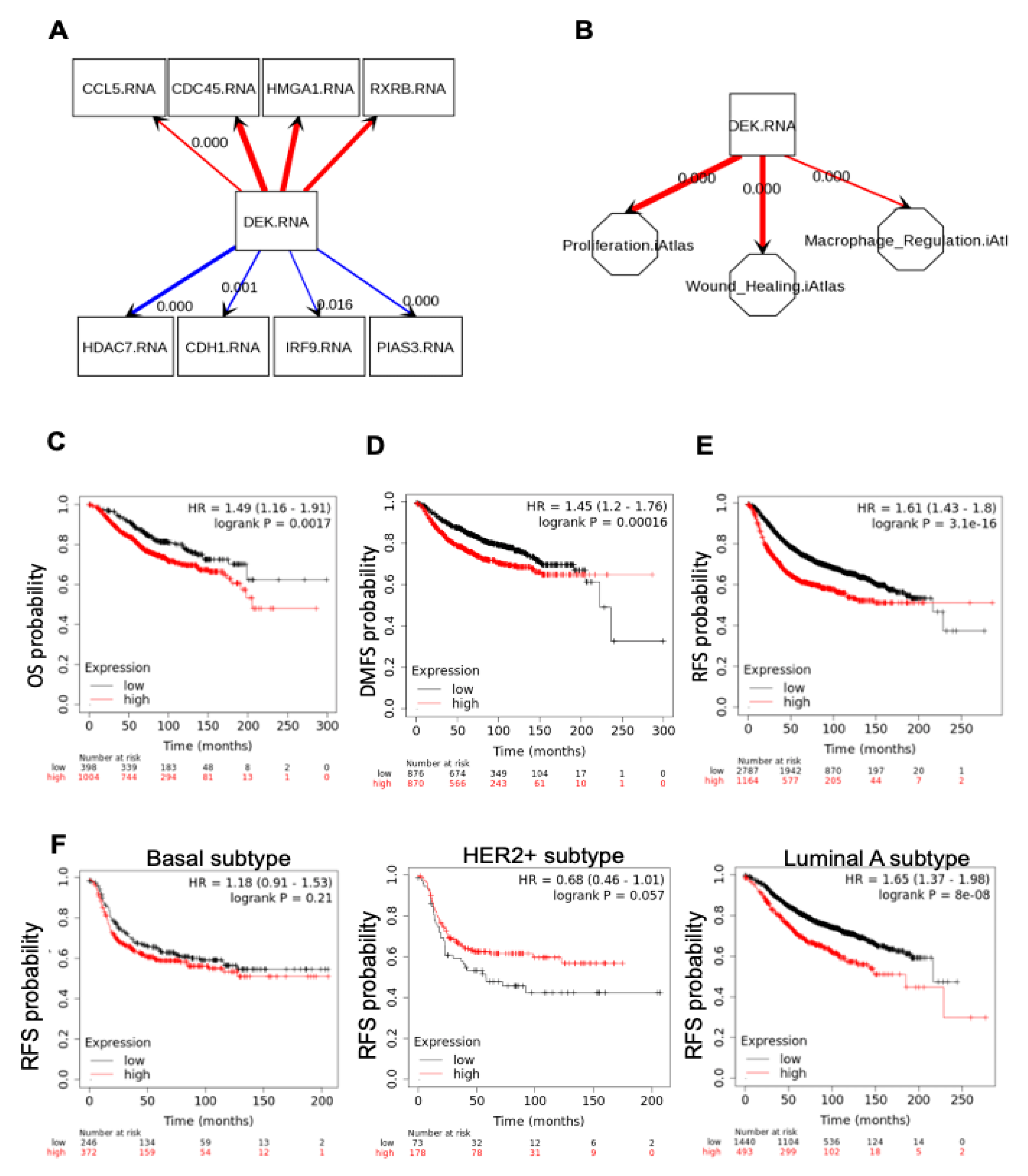 Cancers 12 01936 g005 Cancers 12 01936 g005