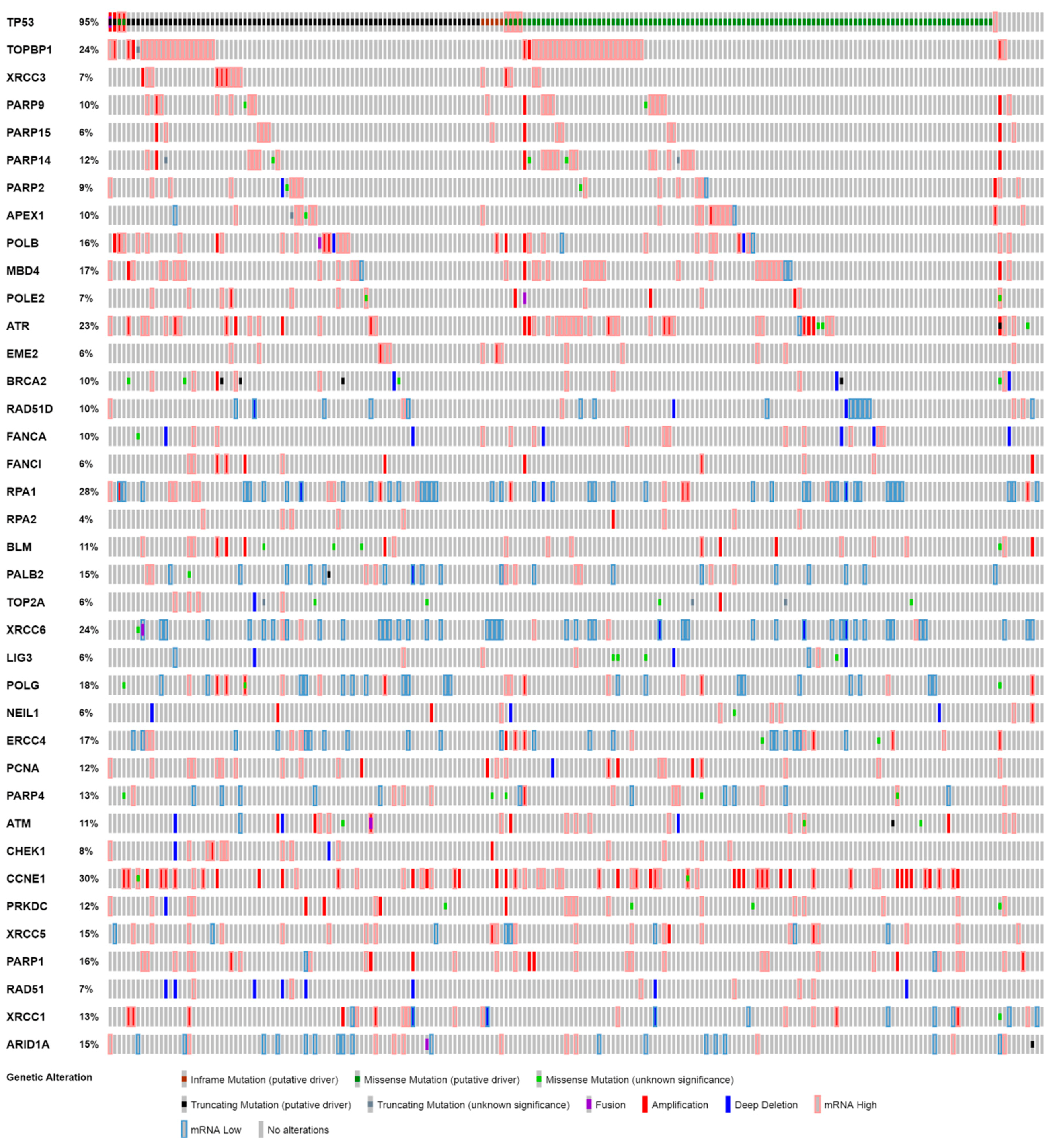 Cancers 12 01939 g005