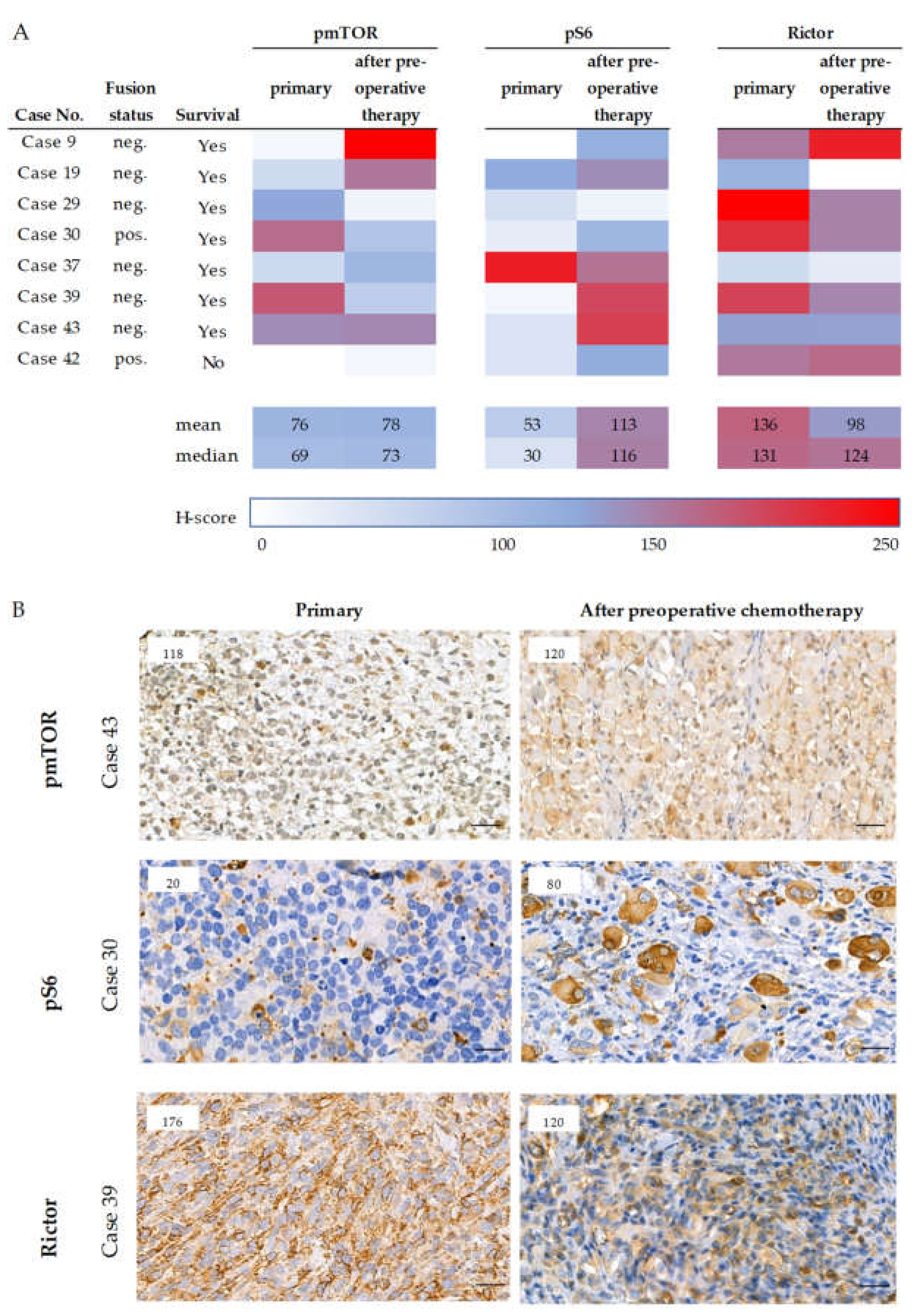 Cancers 12 01947 g002 Cancers 12 01947 g002