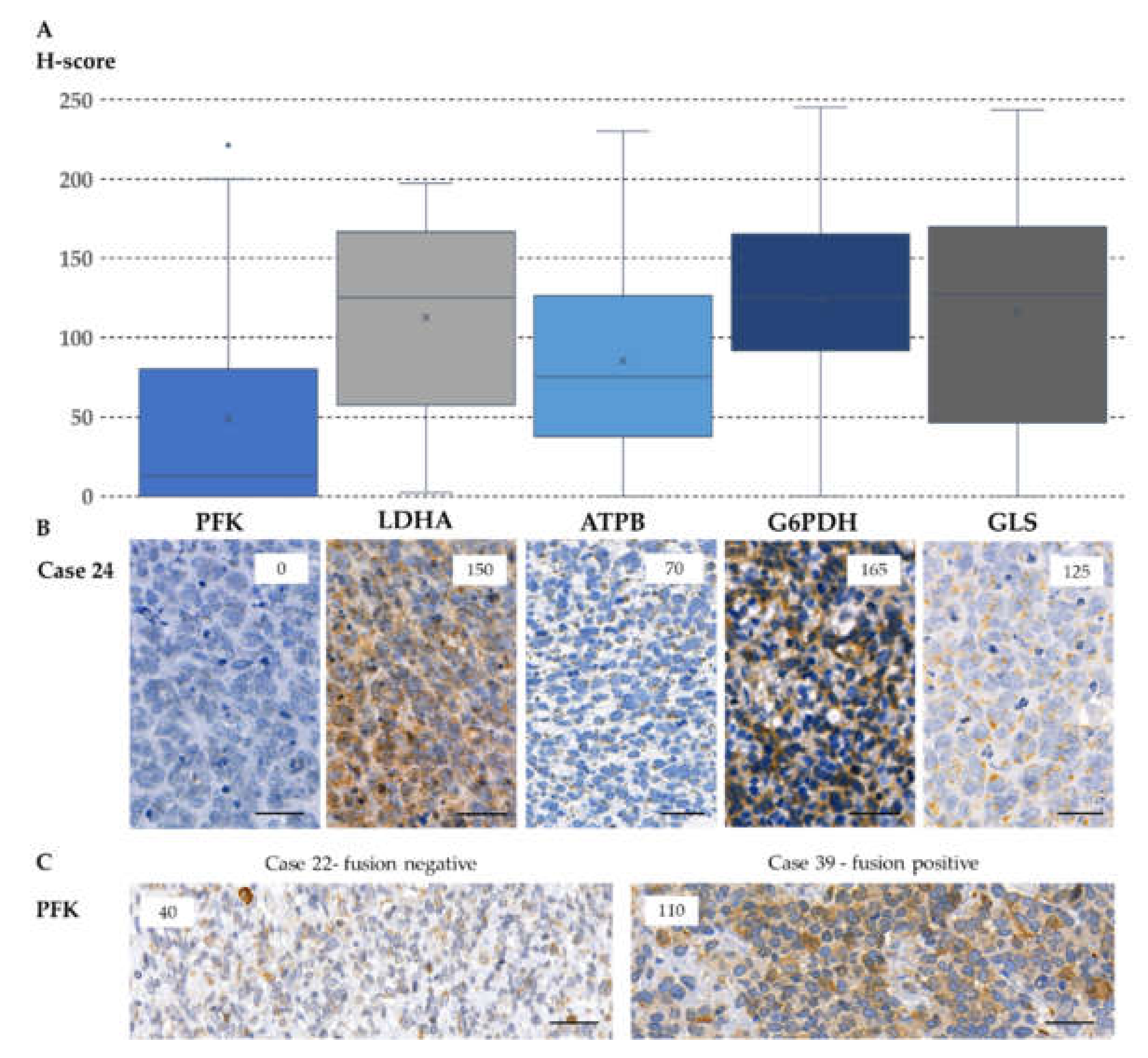 Cancers 12 01947 g004 Cancers 12 01947 g004