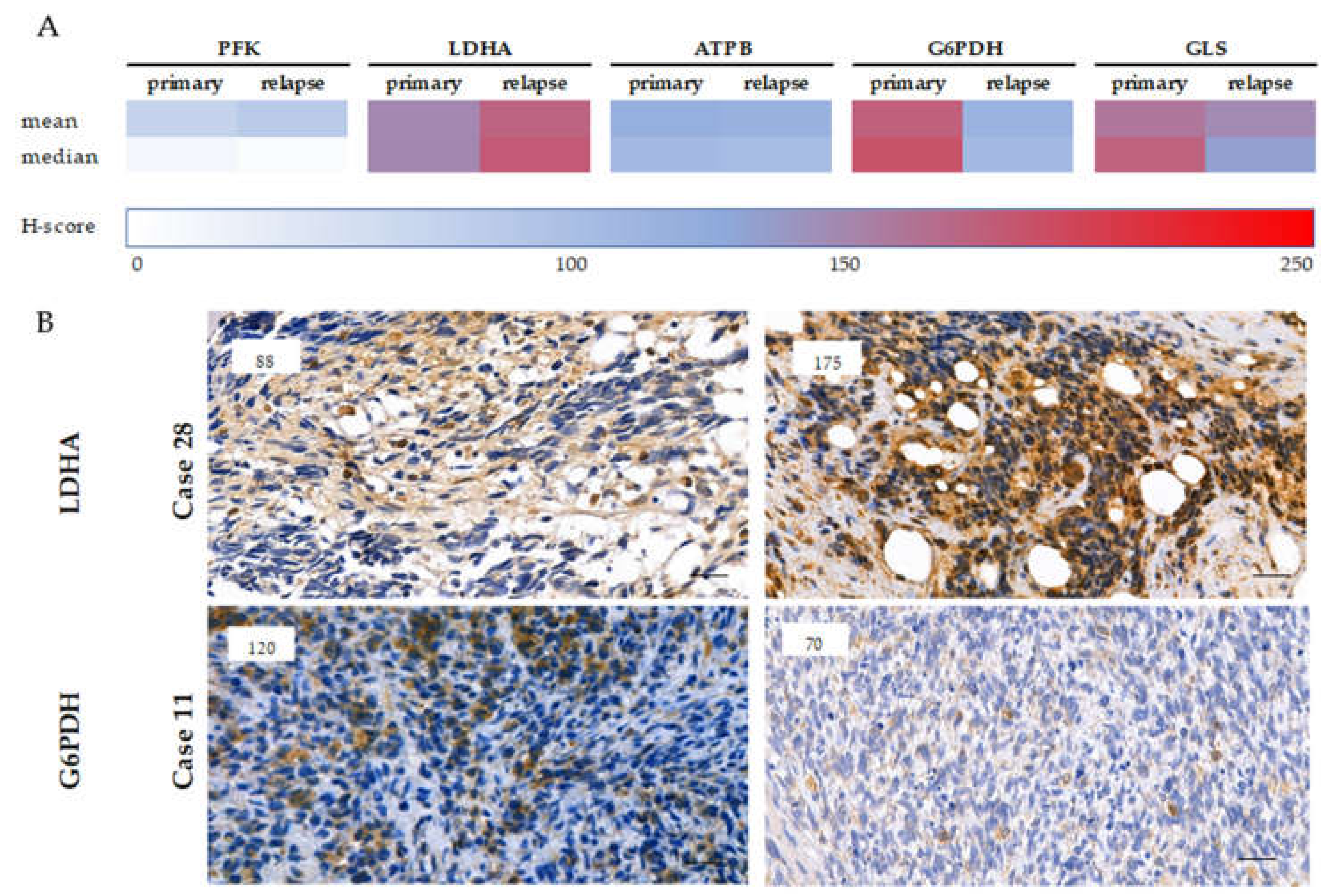Cancers 12 01947 g005 Cancers 12 01947 g005