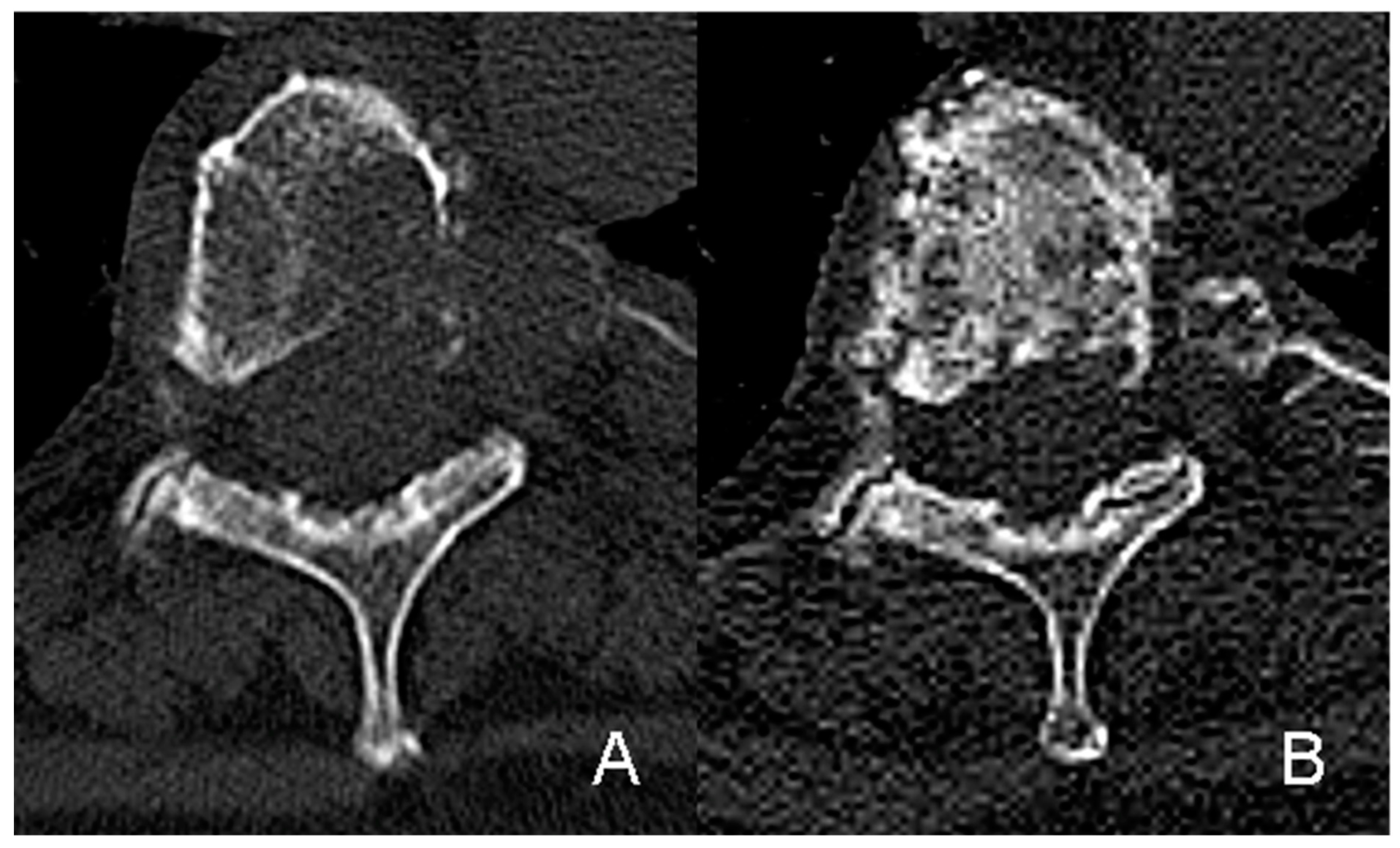 Cancers 12 01950 g001