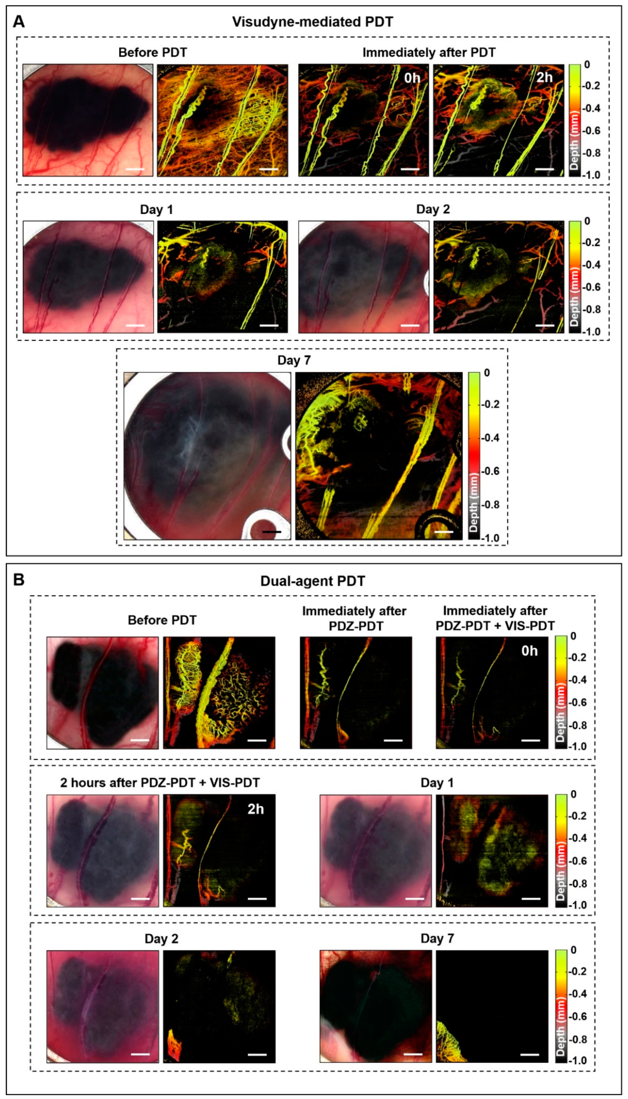 Cancers 12 01956 g002 Cancers 12 01956 g002