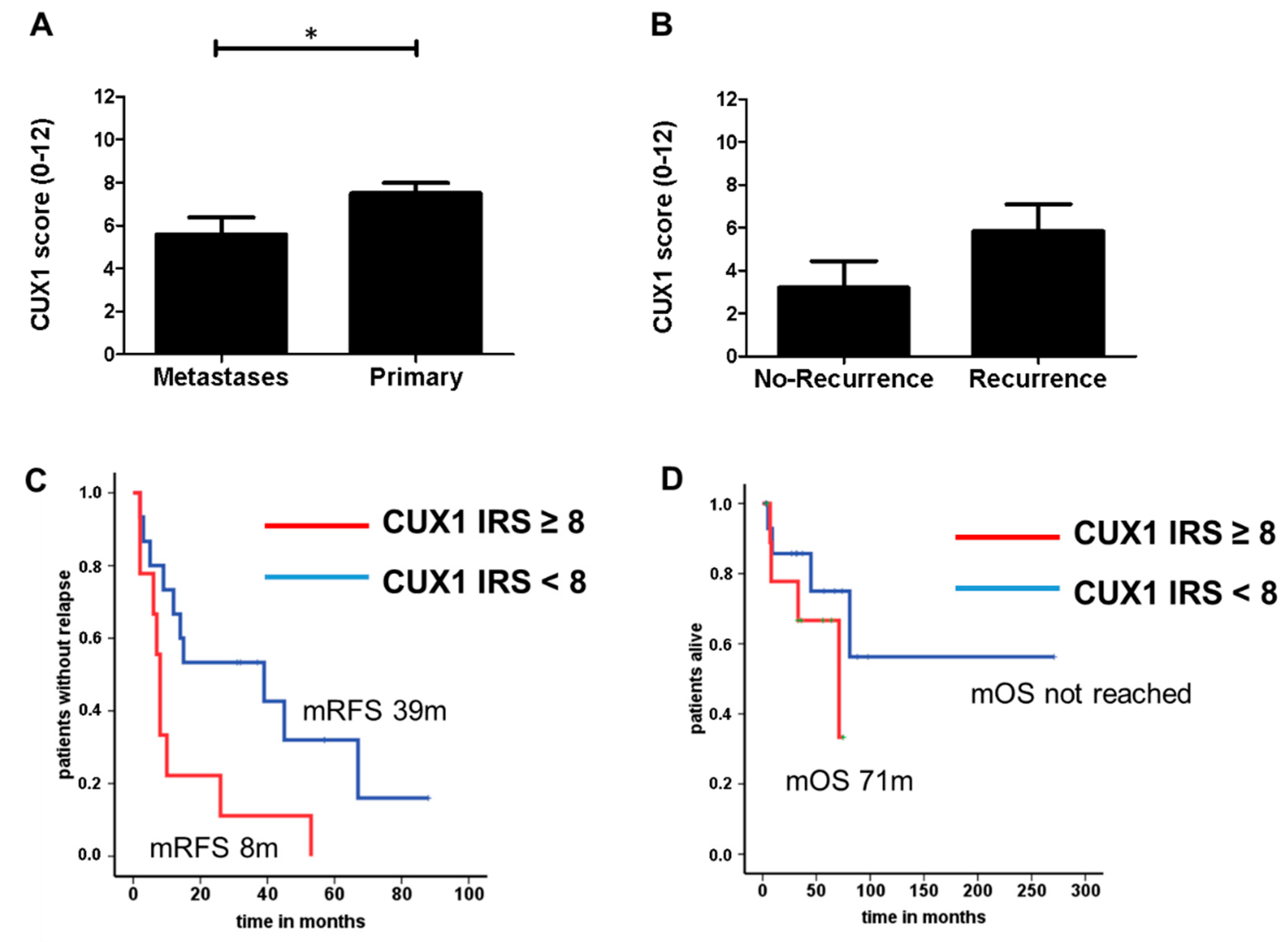 Cancers 12 01957 g001 Cancers 12 01957 g001