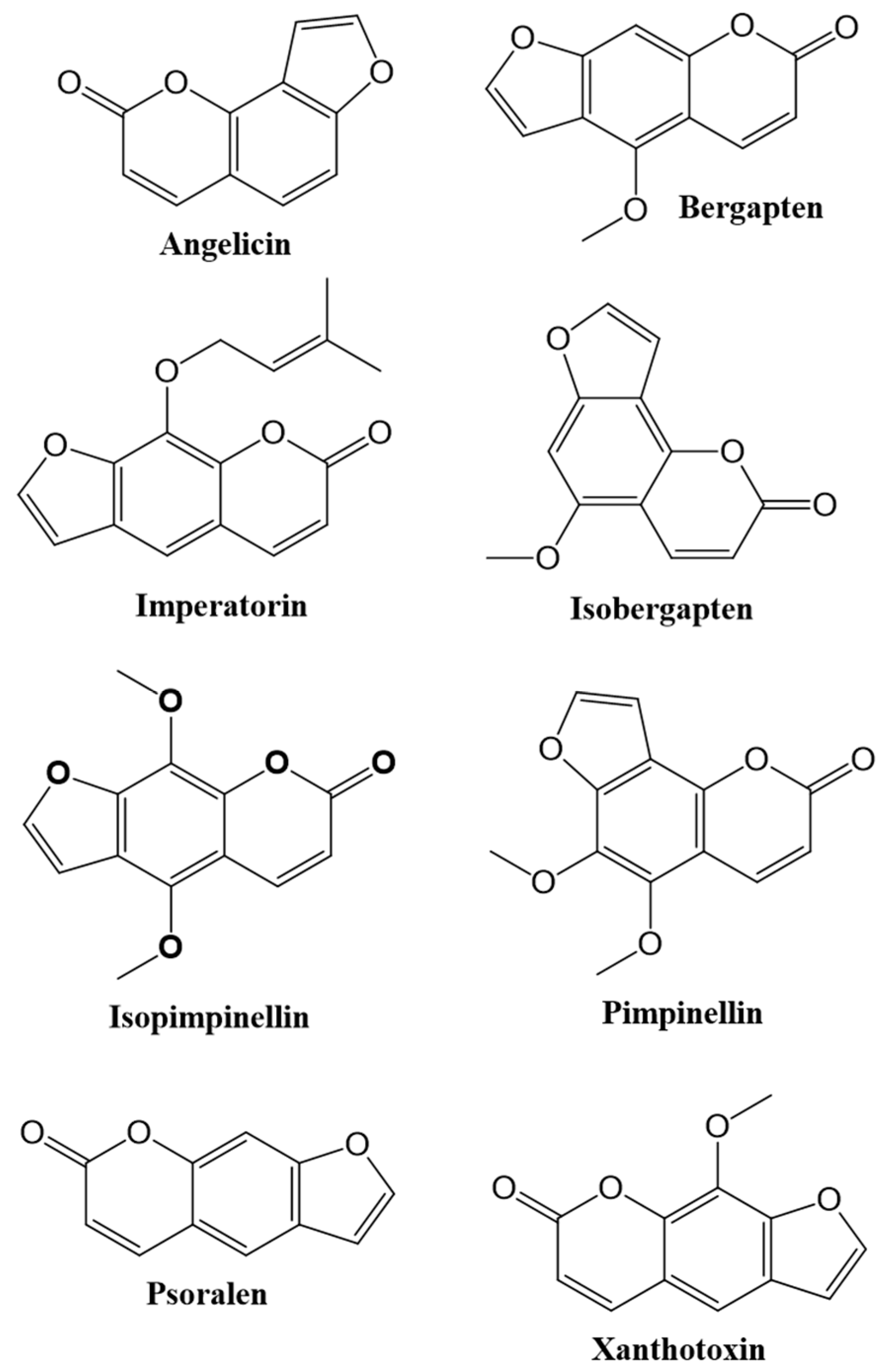 Cancers 12 01959 g002