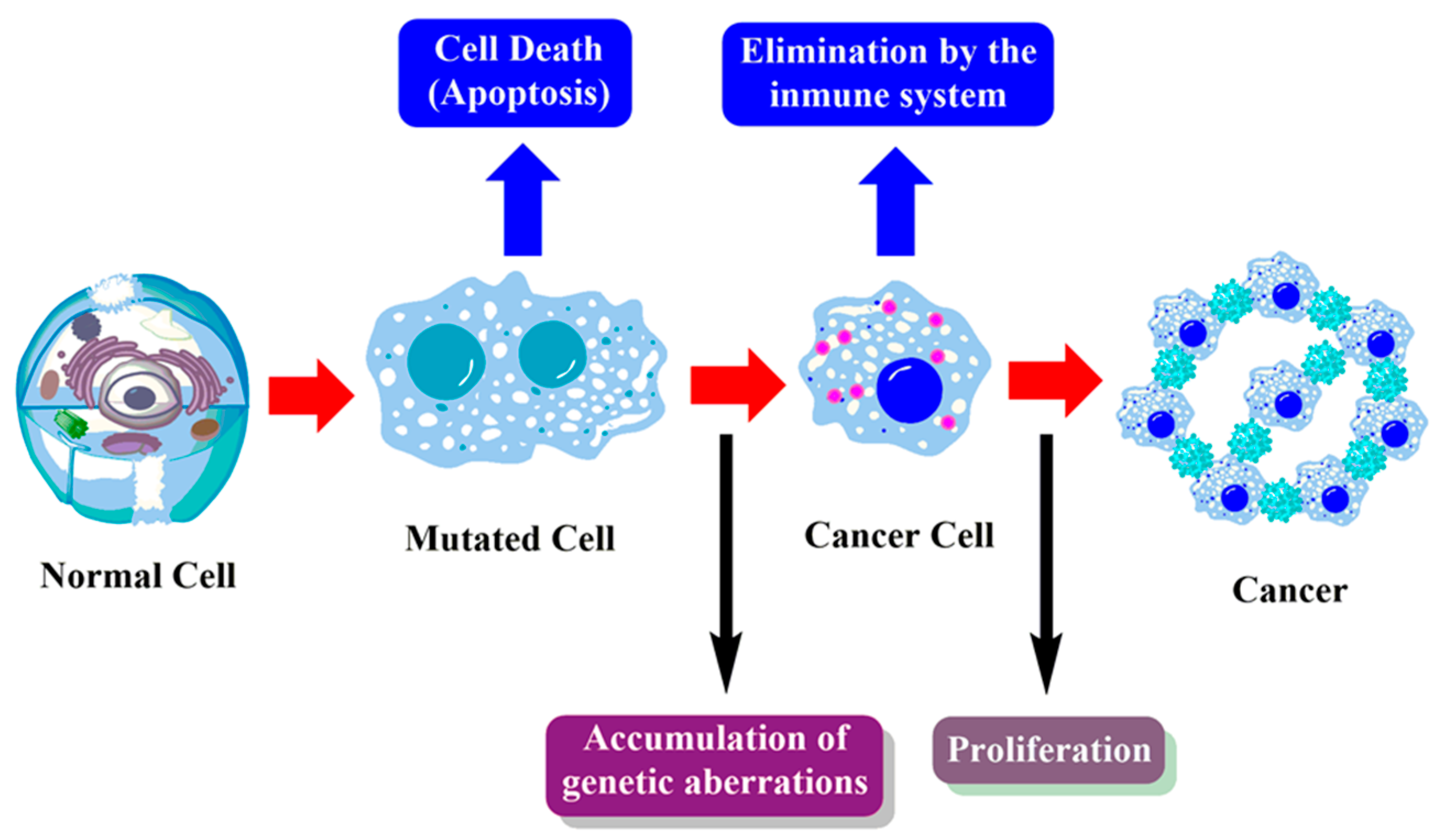Cancers 12 01959 g006