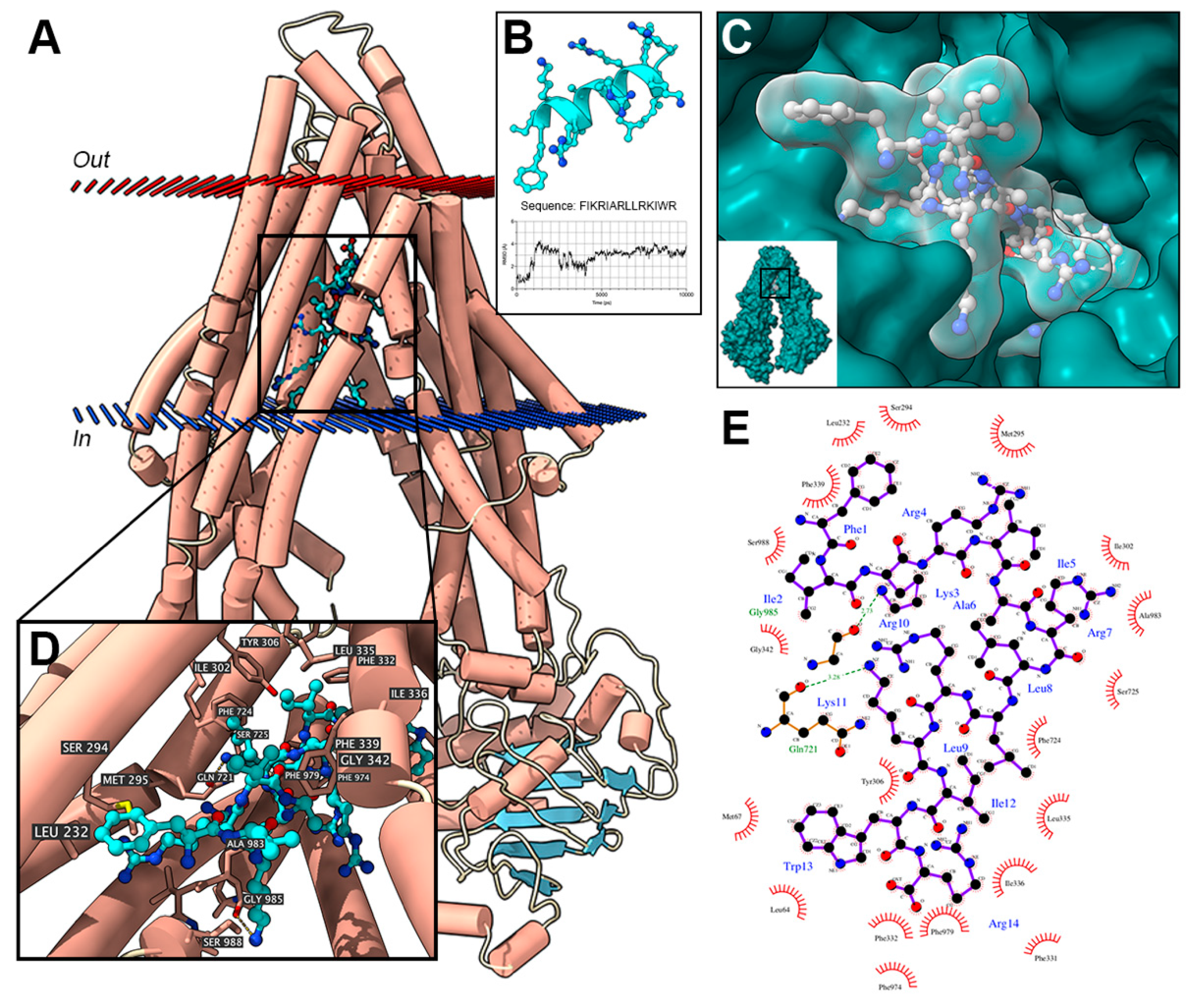 Cancers Free Full Text The Multidrug Resistance Reversing Activity Of A Novel Antimicrobial Peptide Html Cancers Free Full Text The Multidrug Resistance Reversing Activity Of A Novel Antimicrobial Peptide Html