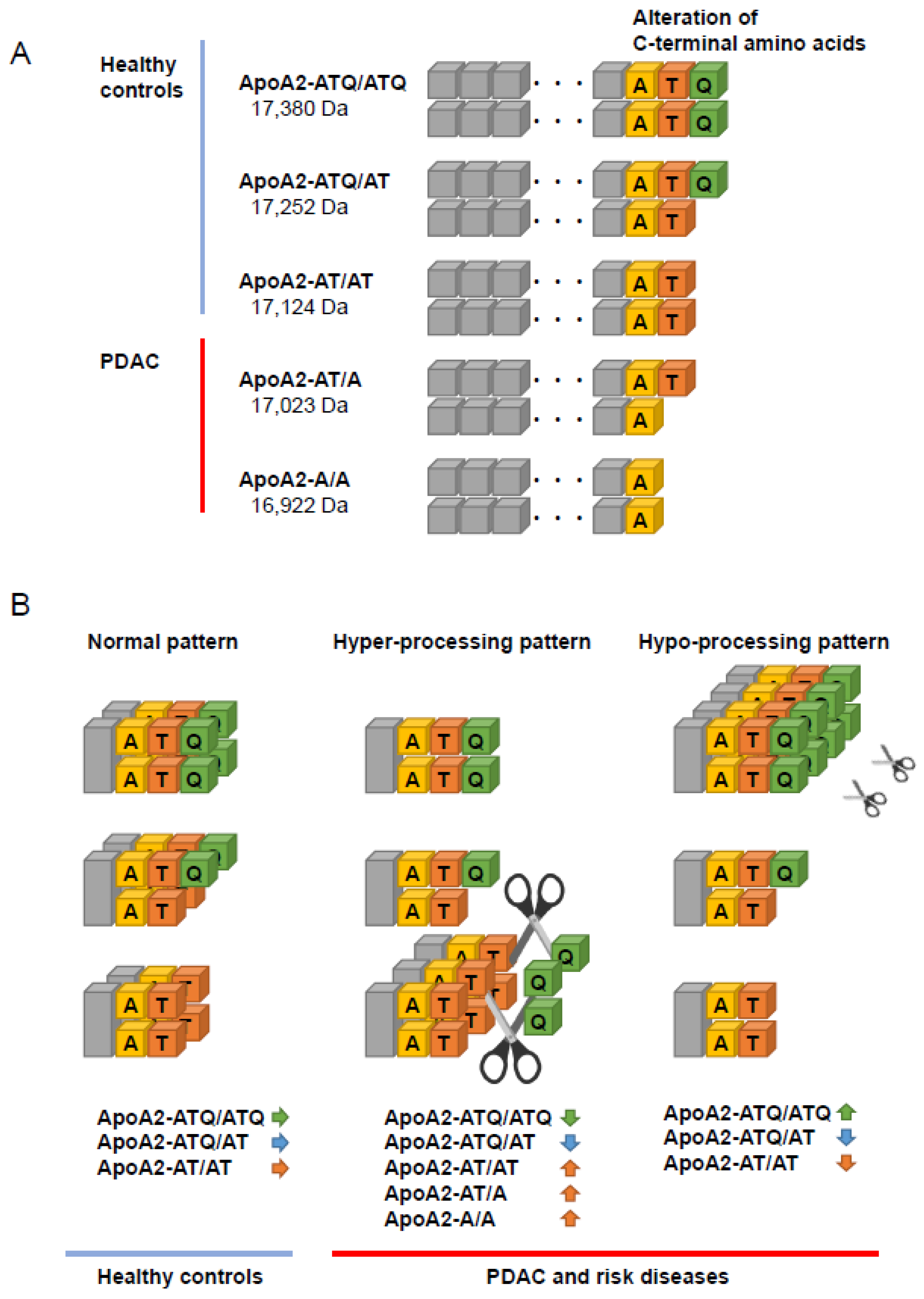 Cancers Free Full Text Use Of Biomarkers And Imaging For Early Detection Of Pancreatic Cancer Html