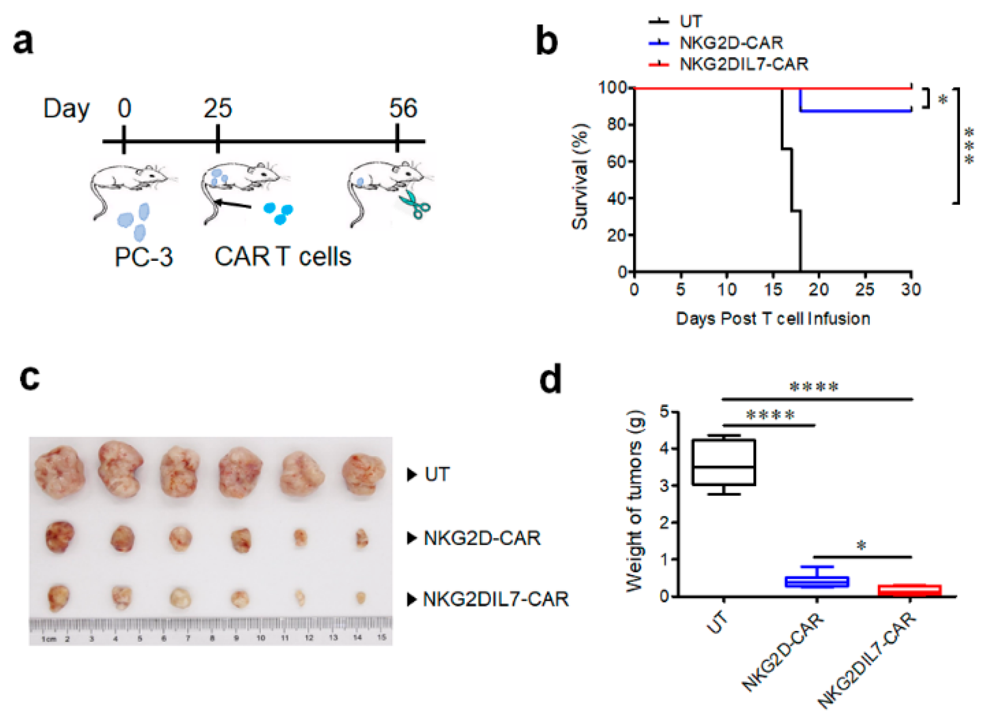 Cancers 12 01969 g005