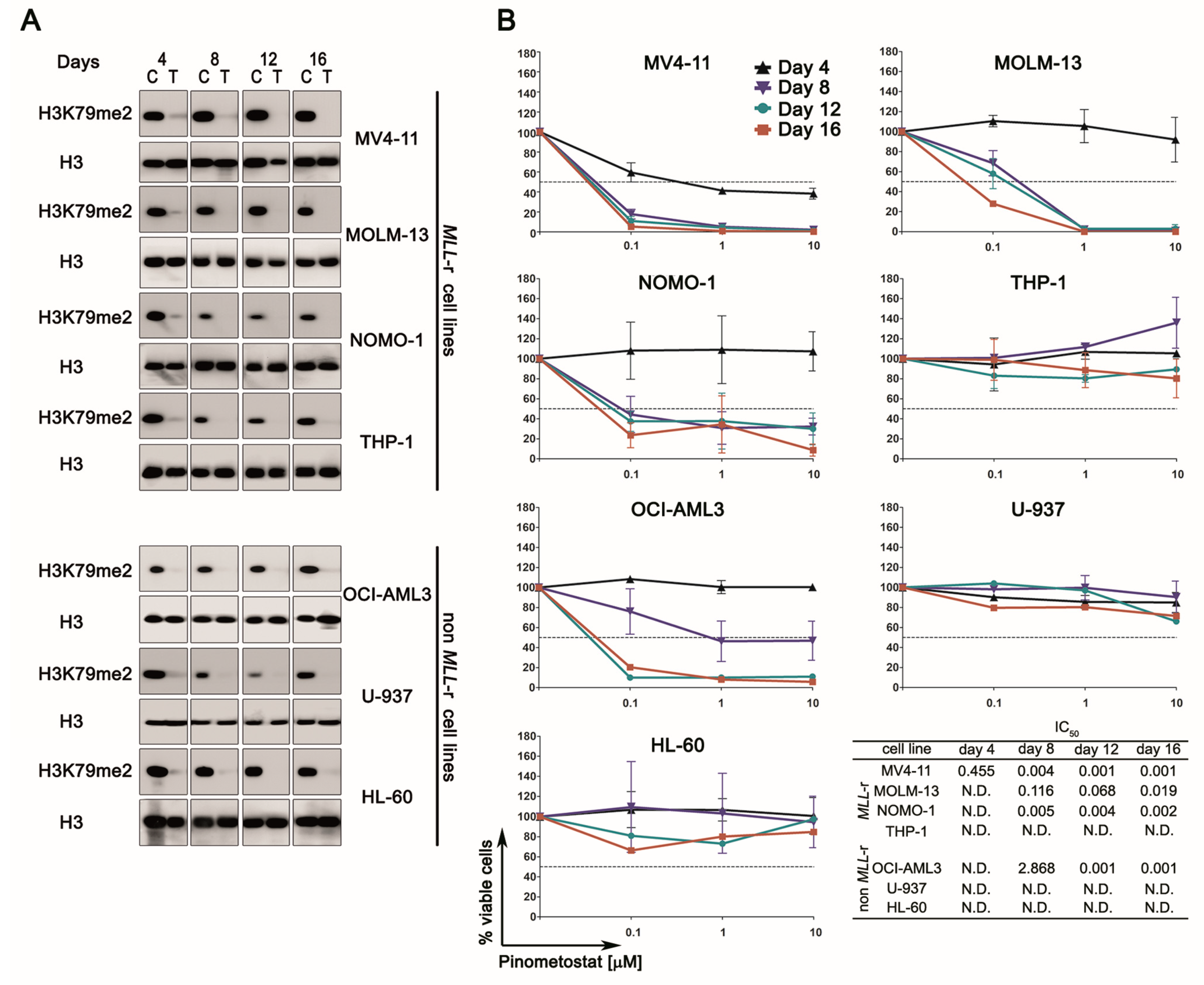 Cancers 12 01972 g001 Cancers 12 01972 g001