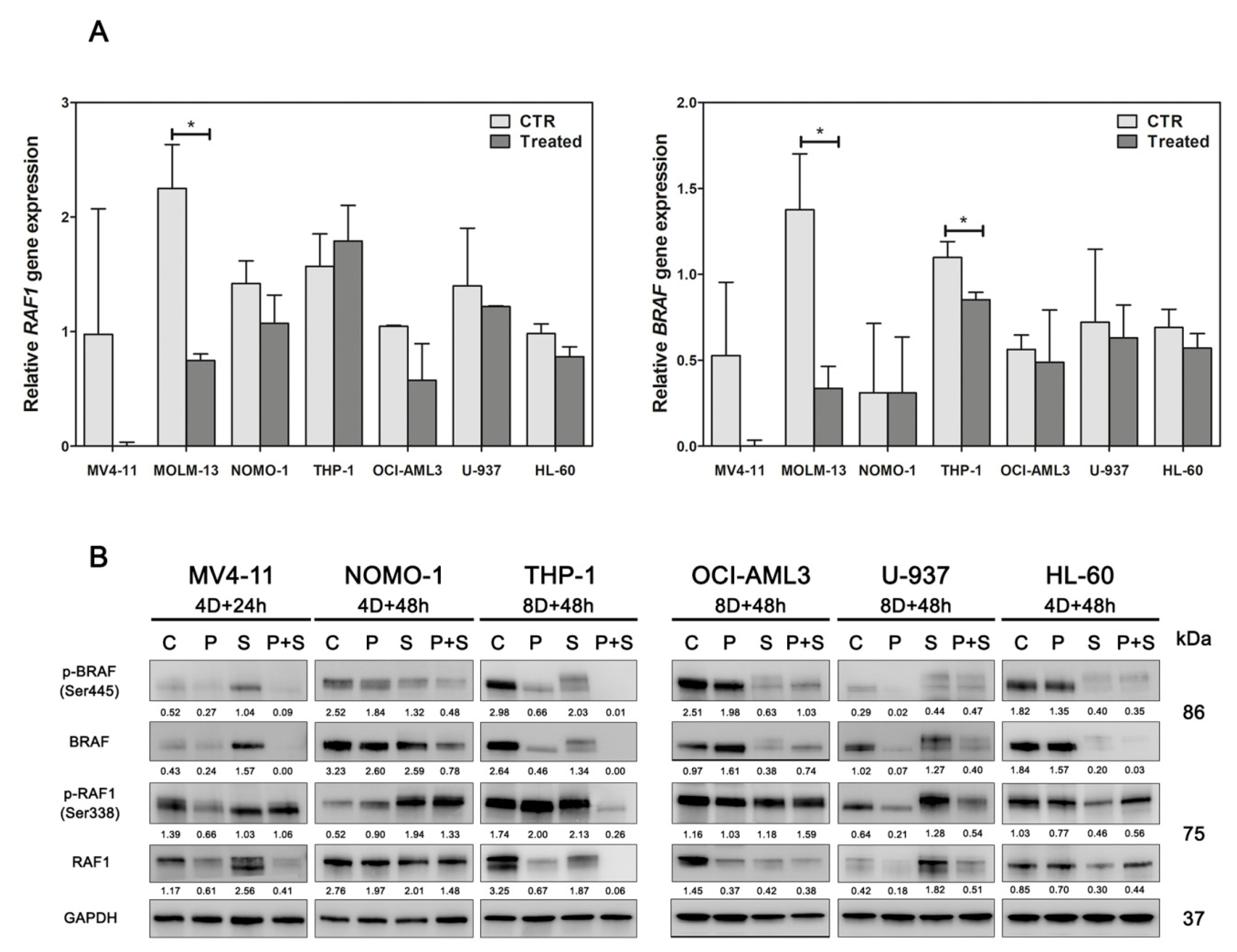 Cancers 12 01972 g007 Cancers 12 01972 g007