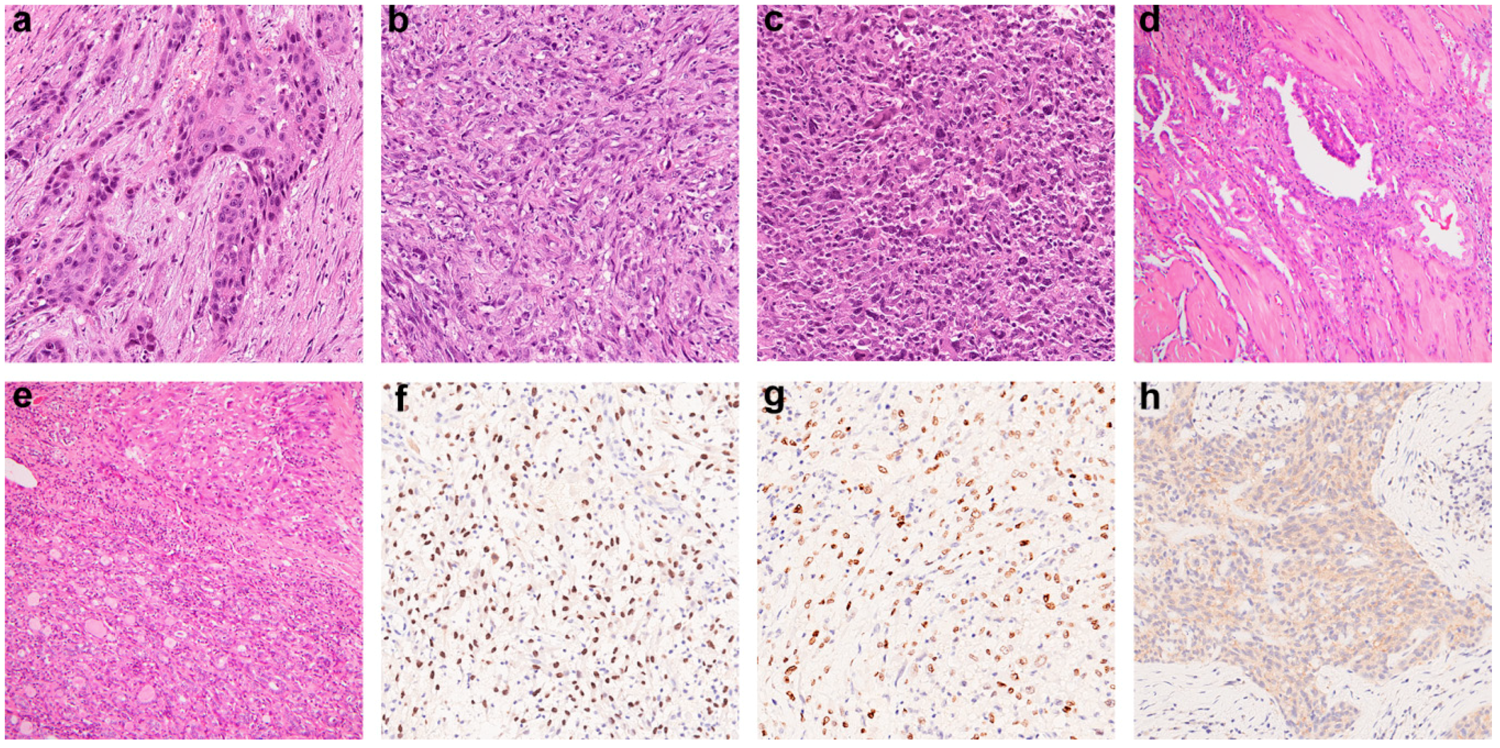 Cancers 12 01973 g001 Cancers 12 01973 g001
