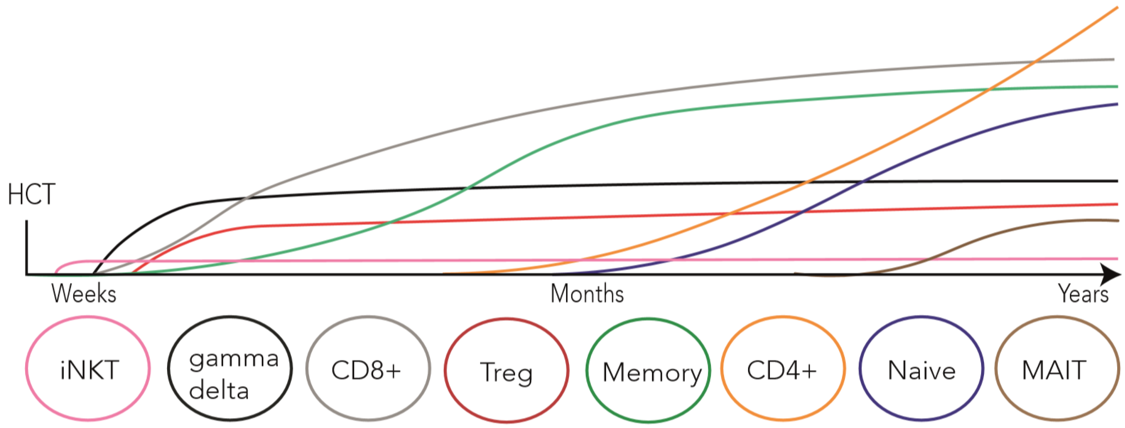 Cancers 12 01974 g001