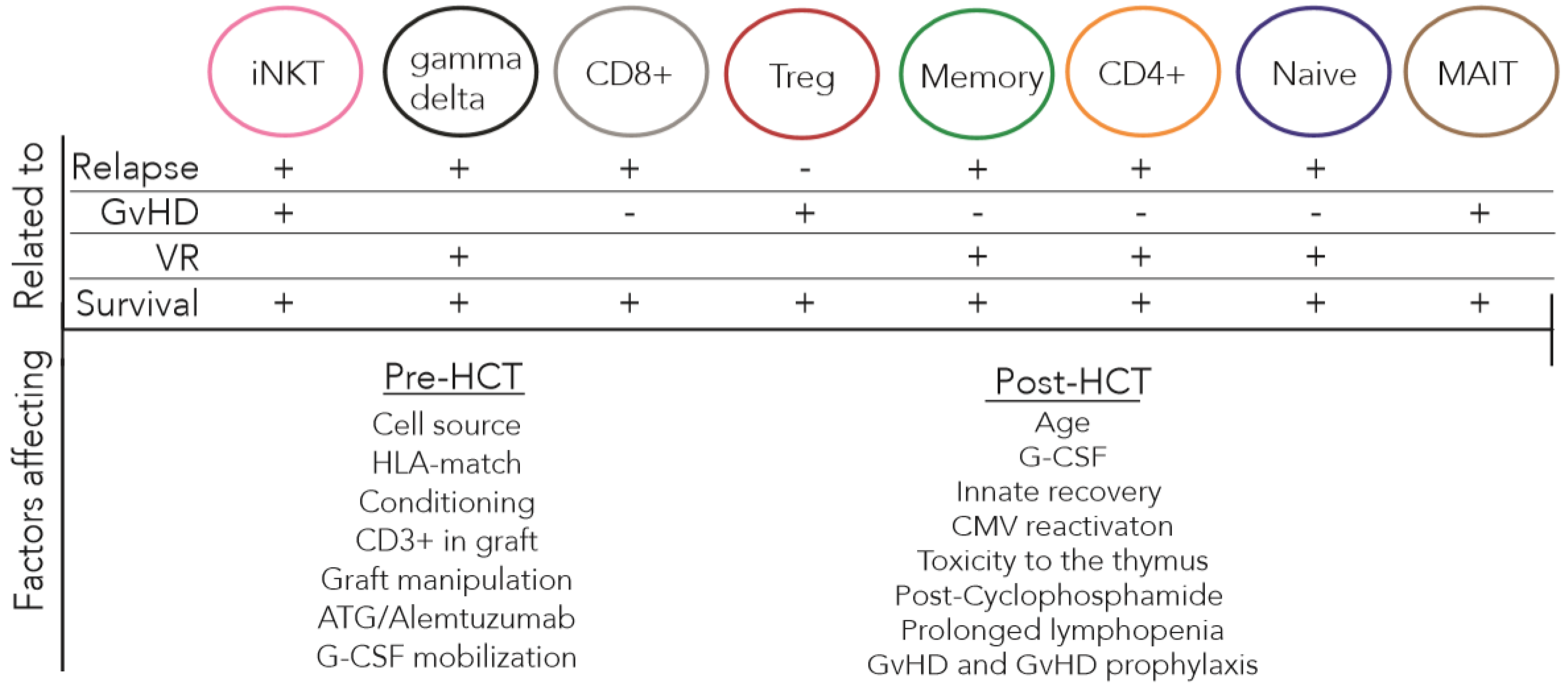 Cancers 12 01974 g002
