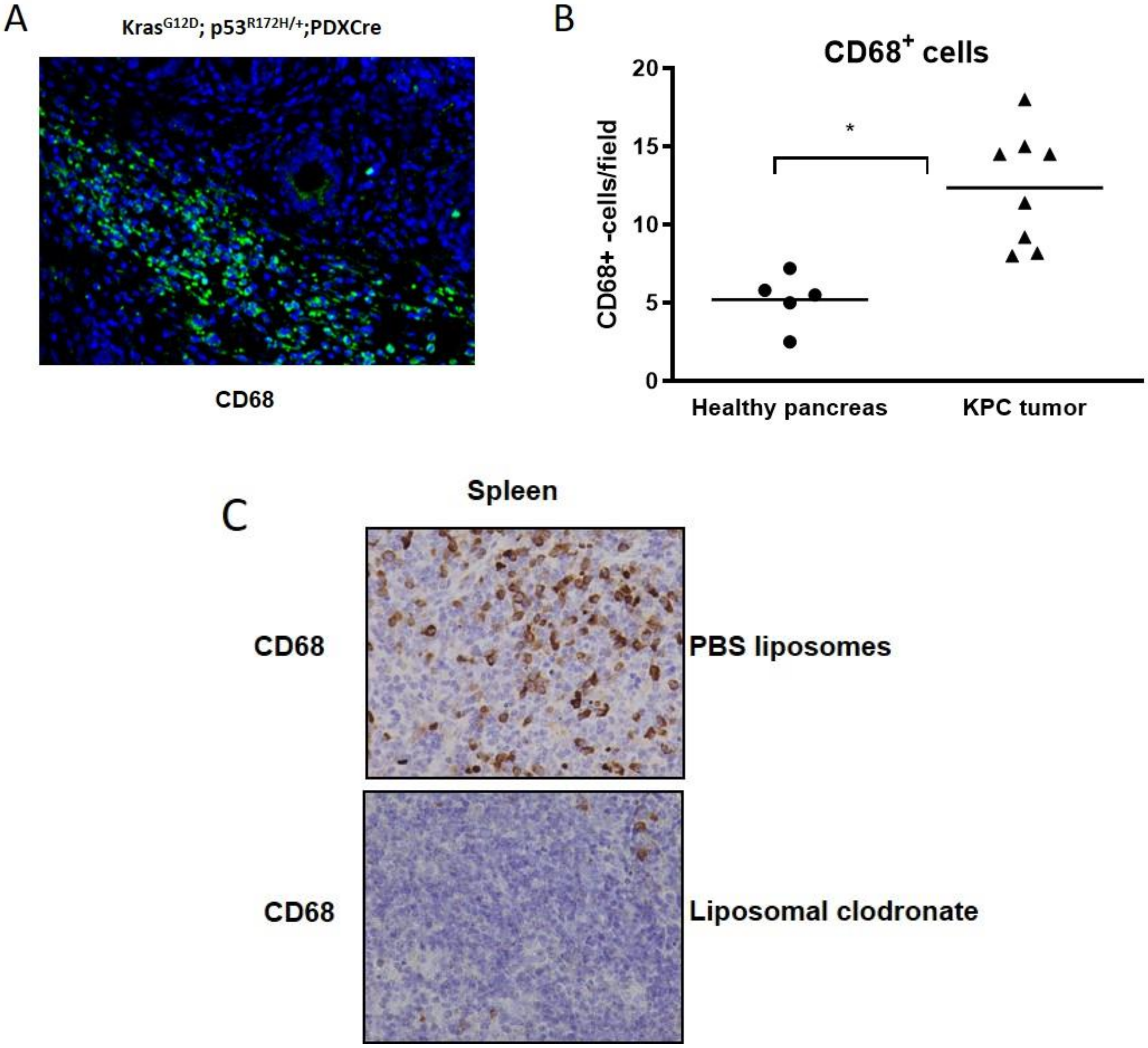 Cancers 12 01978 g004a