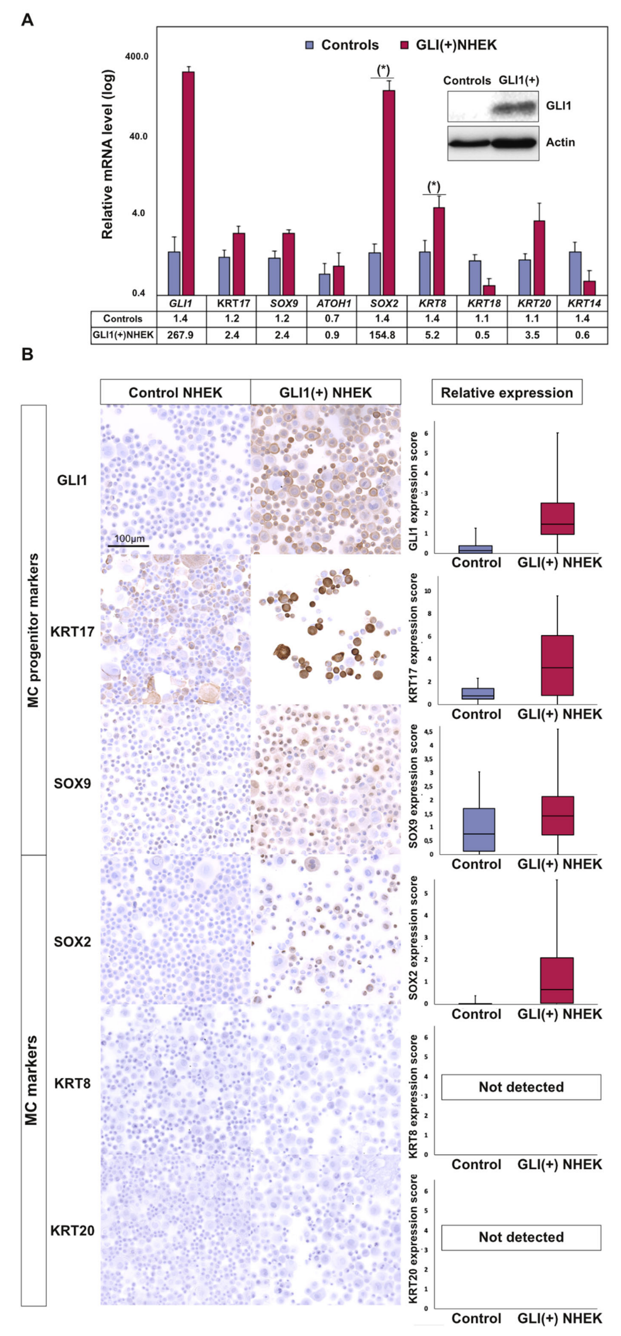 Cancers 12 01989 g002