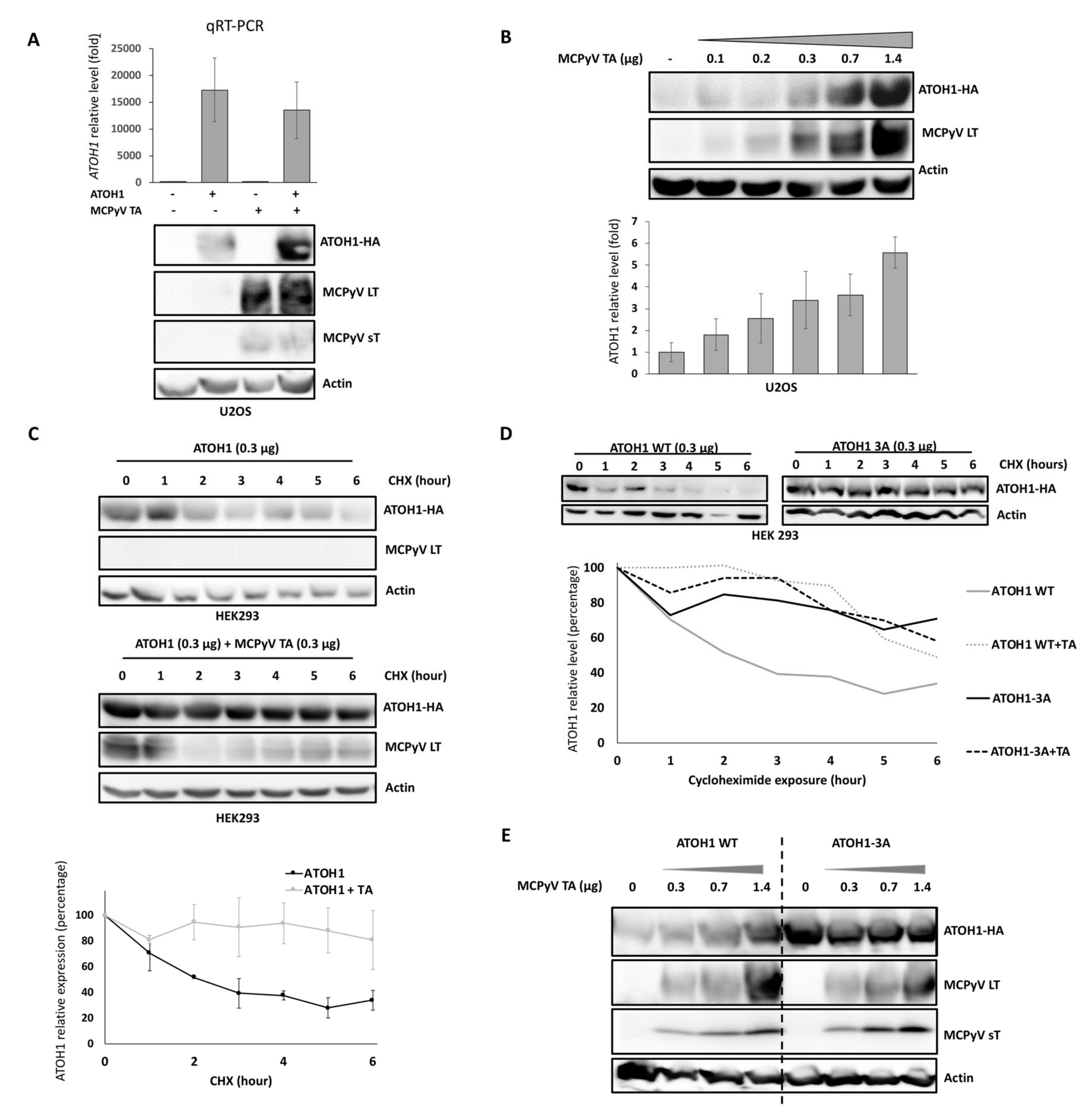 Cancers 12 01989 g005