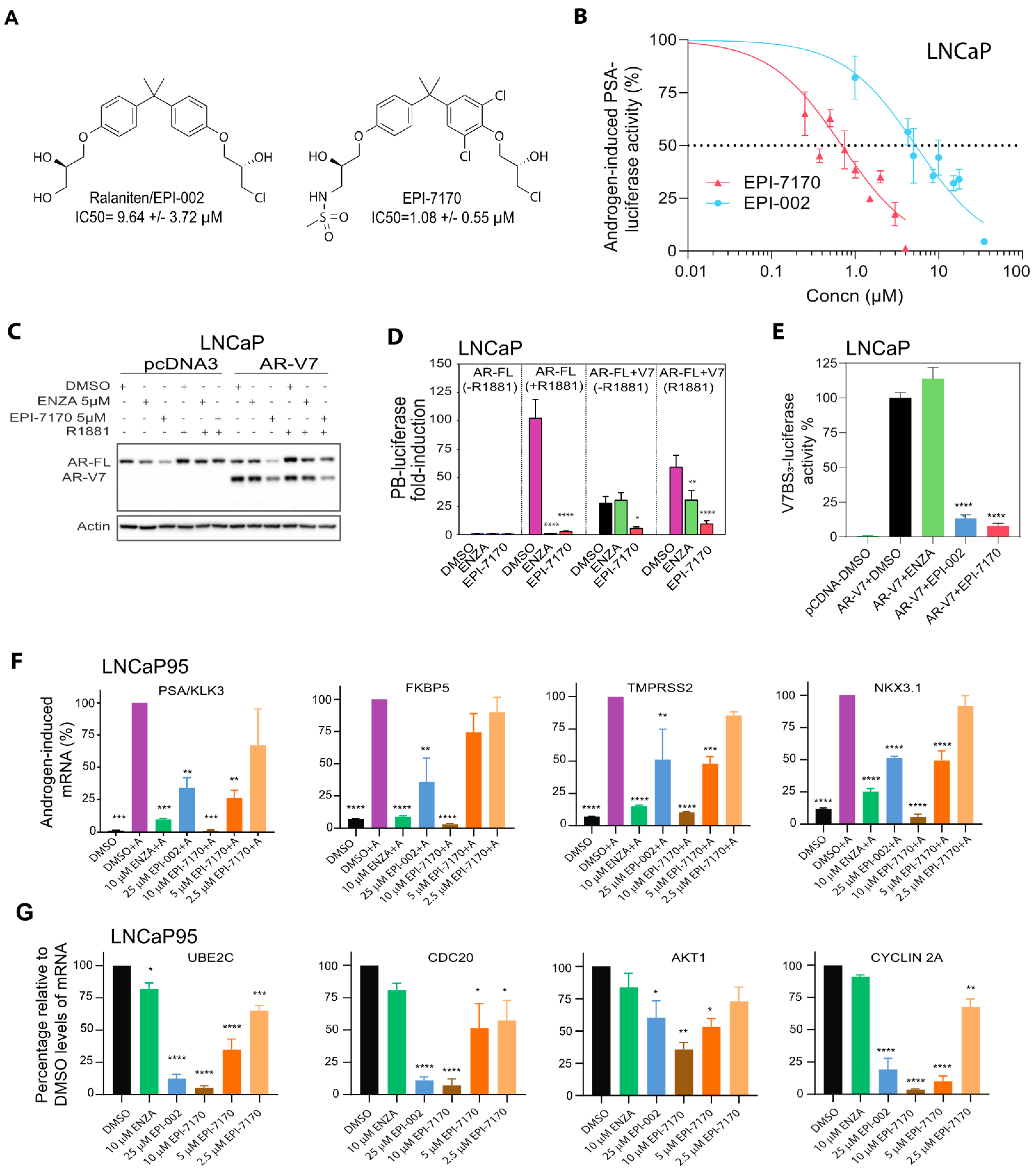 Cancers 12 01991 g001 Cancers 12 01991 g001