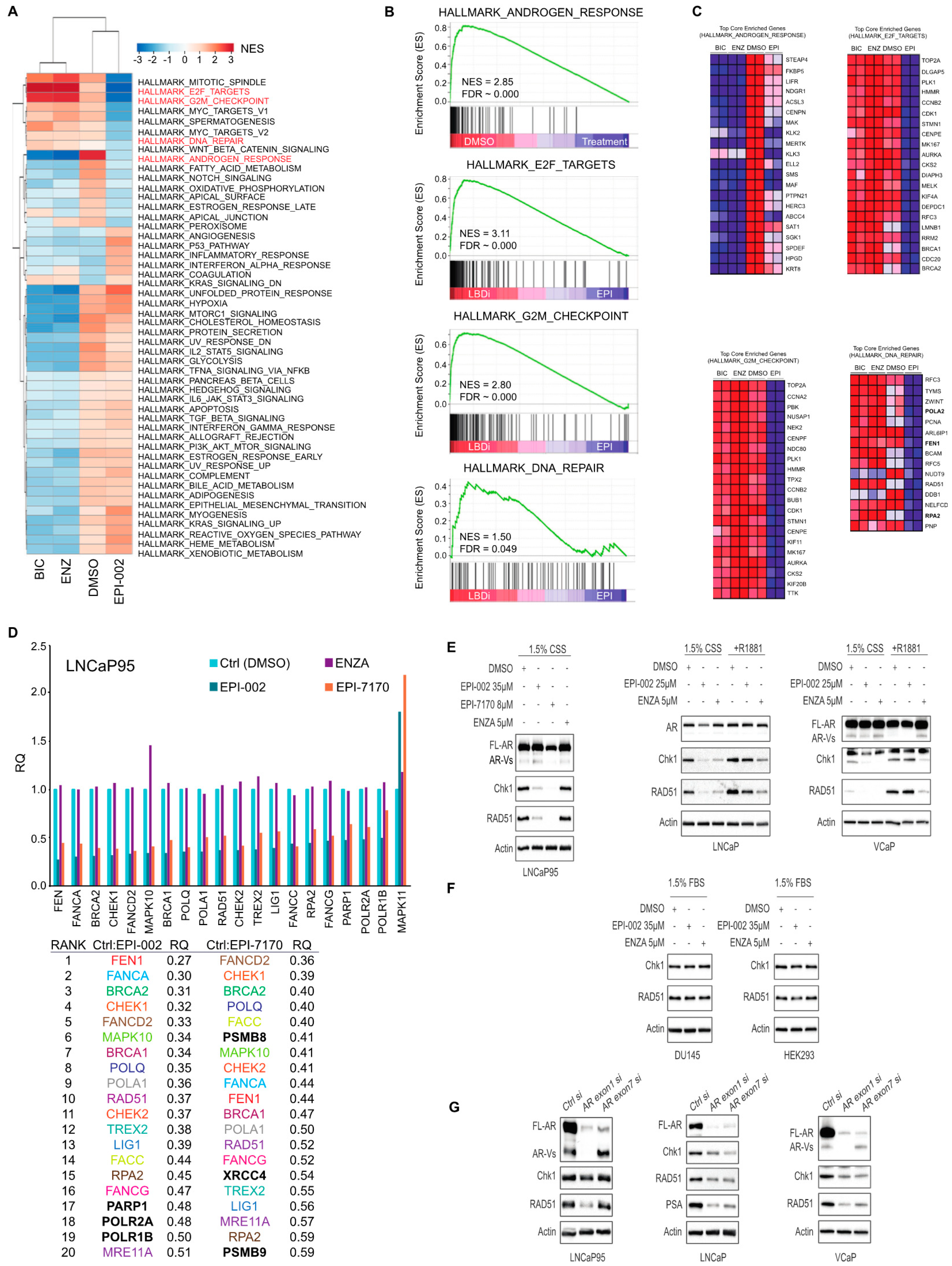 Cancers 12 01991 g003 Cancers 12 01991 g003