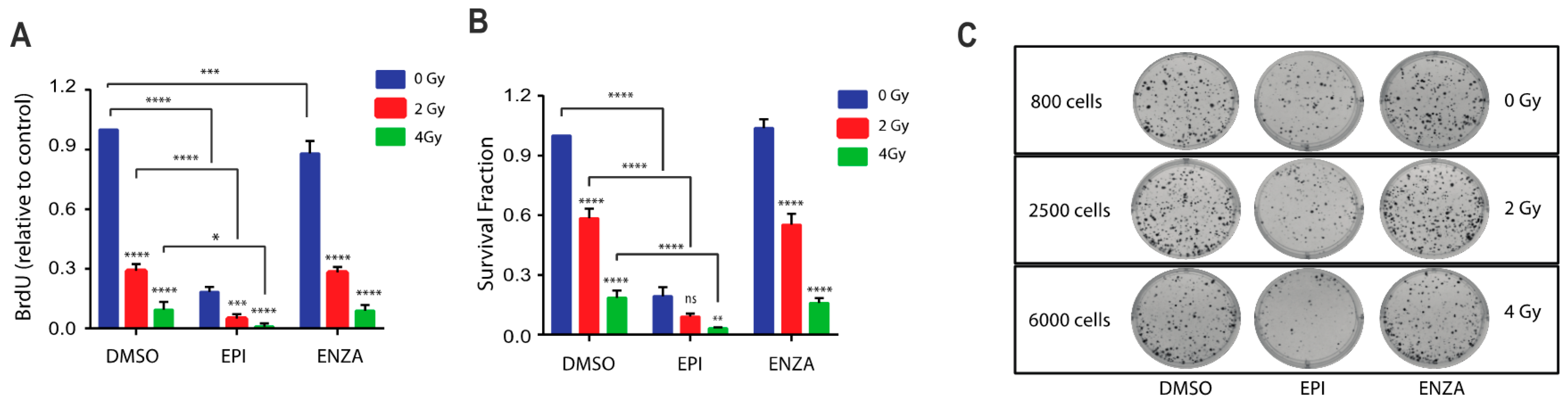 Cancers 12 01991 g004 Cancers 12 01991 g004