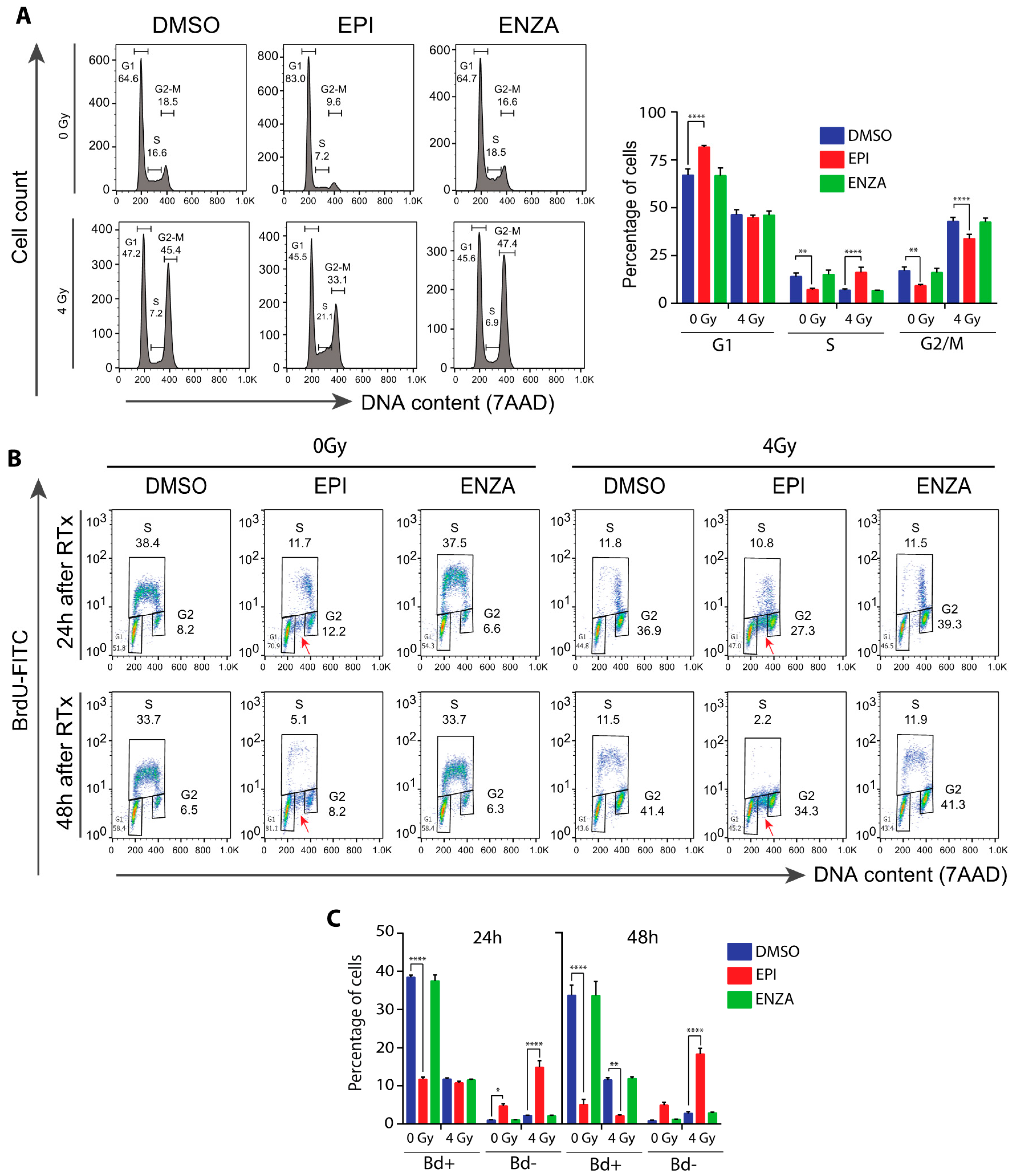 Cancers 12 01991 g005 Cancers 12 01991 g005