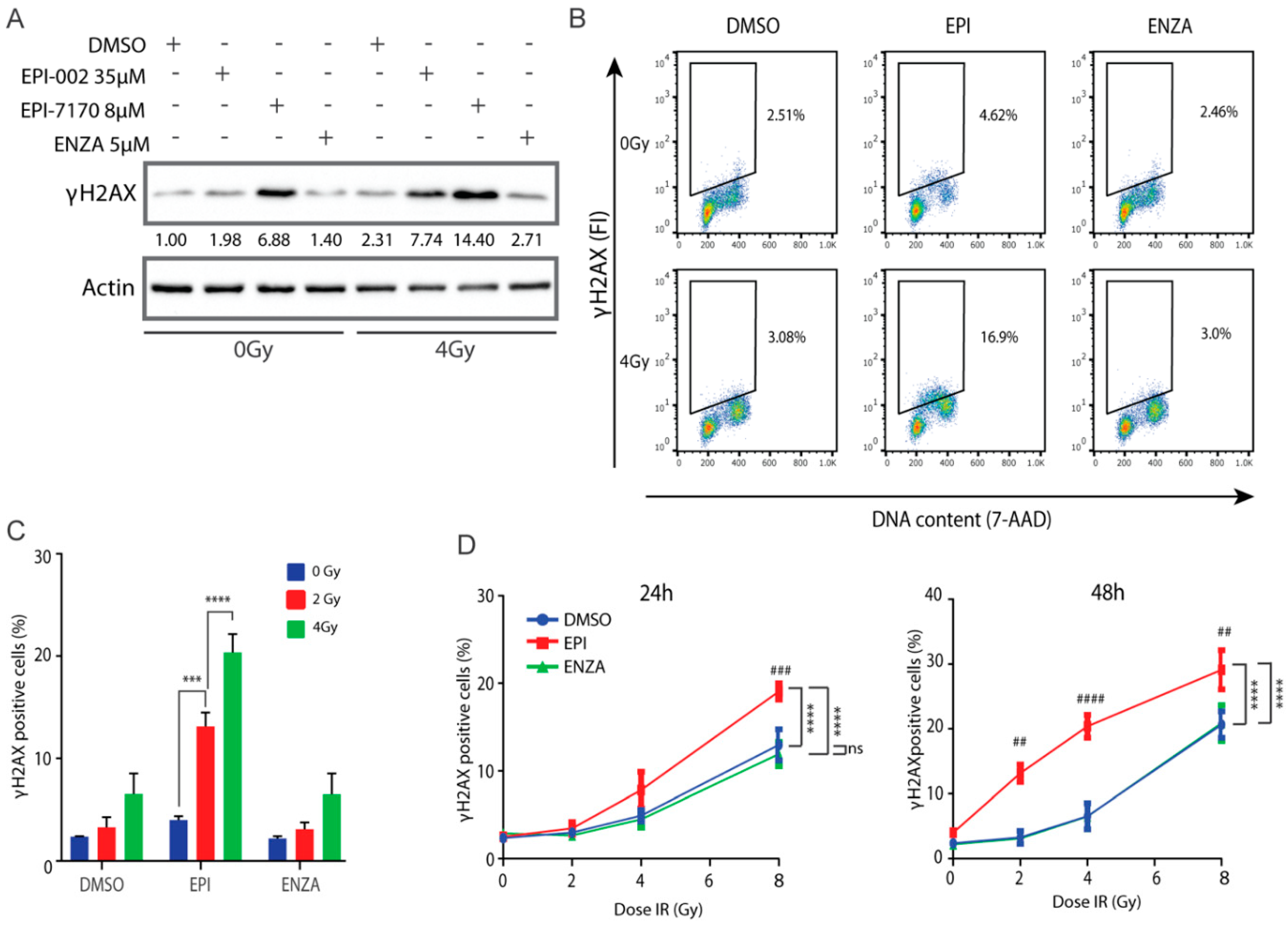 Cancers 12 01991 g006 Cancers 12 01991 g006