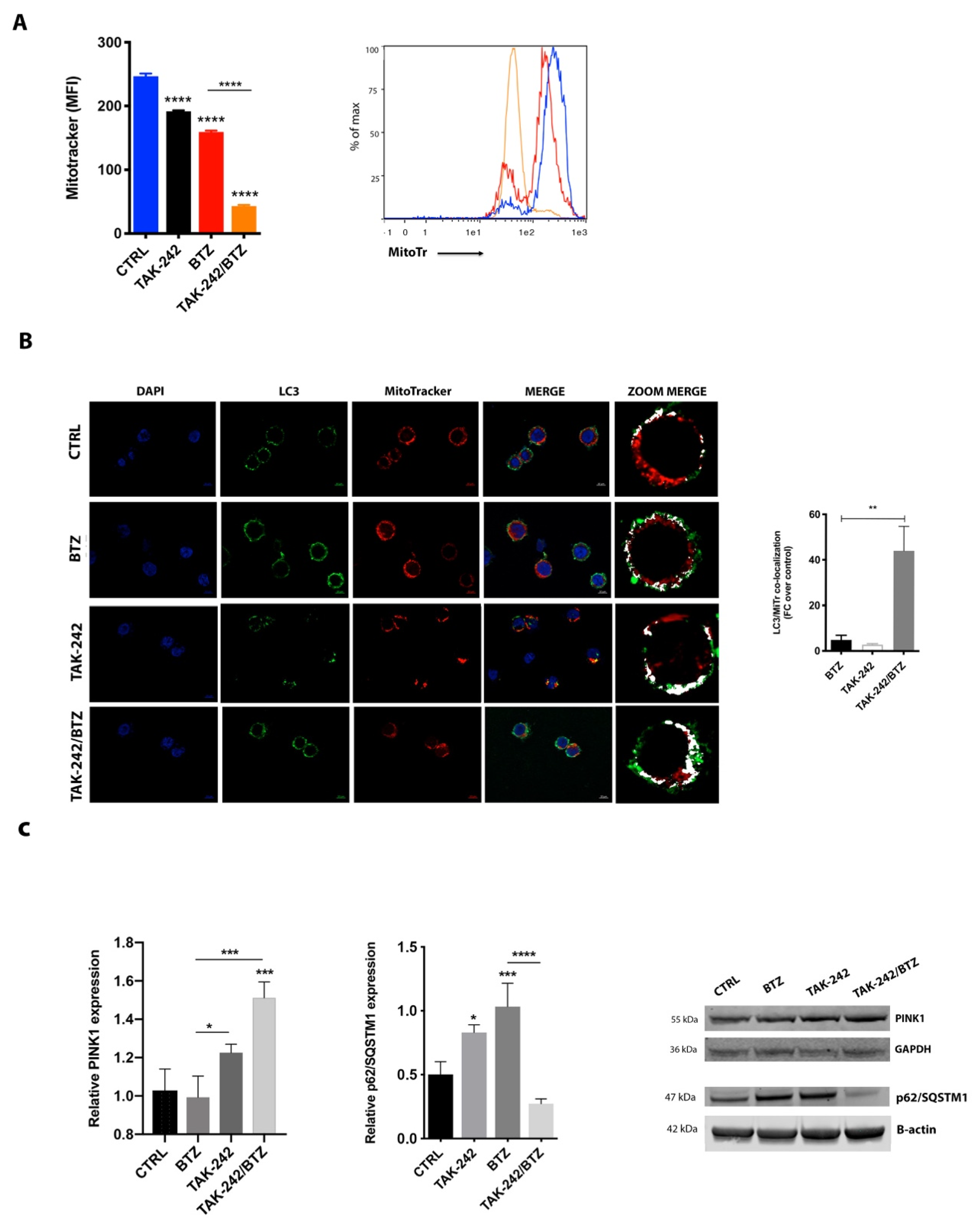 Cancers 12 01999 g006