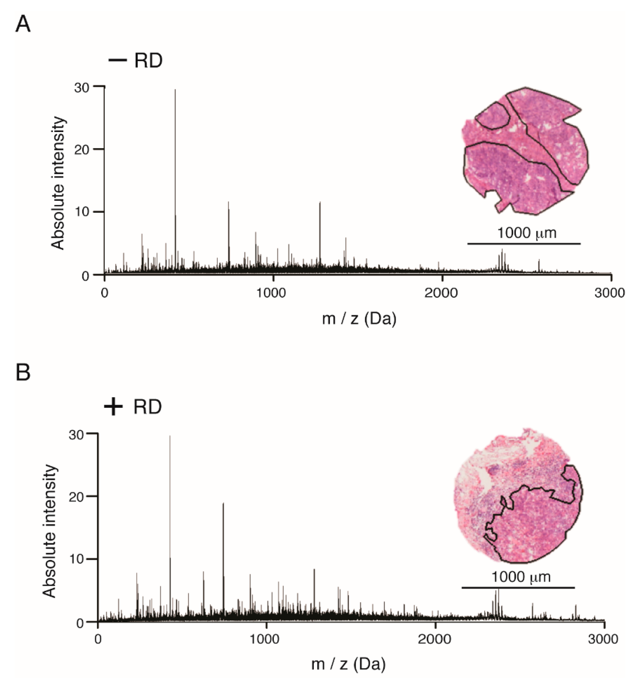 Cancers 12 02000 g001 Cancers 12 02000 g001
