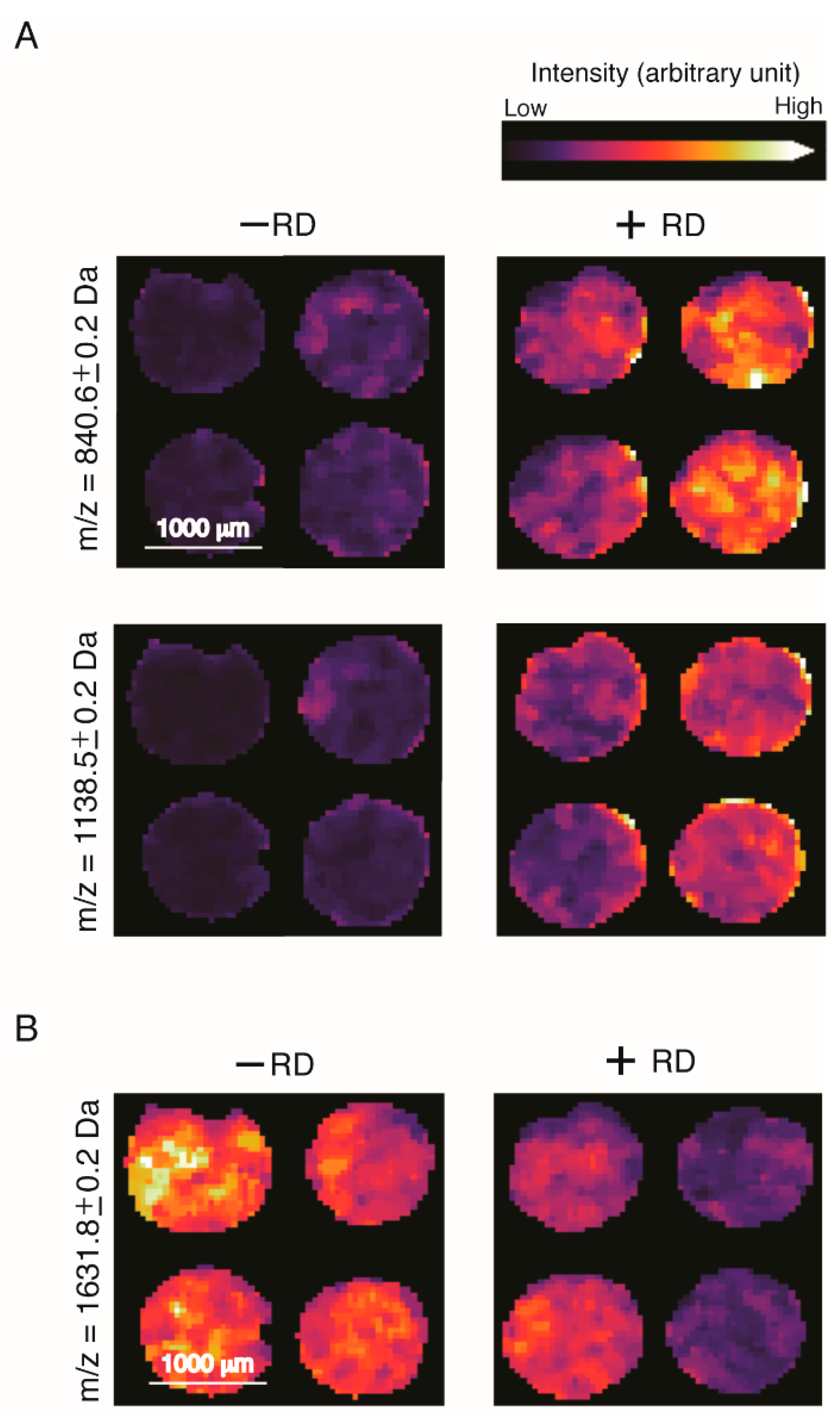 Cancers 12 02000 g003 Cancers 12 02000 g003