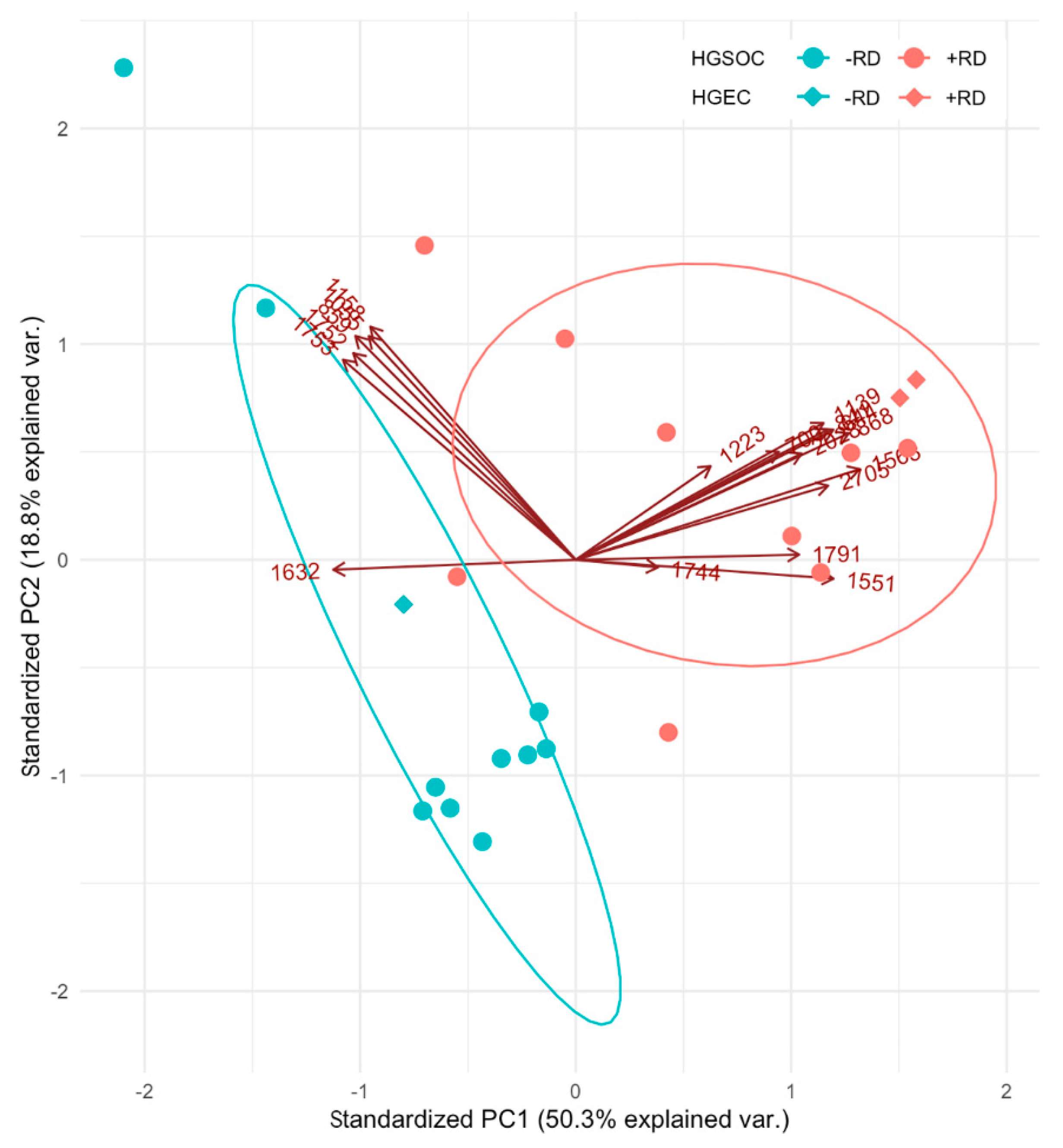 Cancers 12 02000 g005 Cancers 12 02000 g005