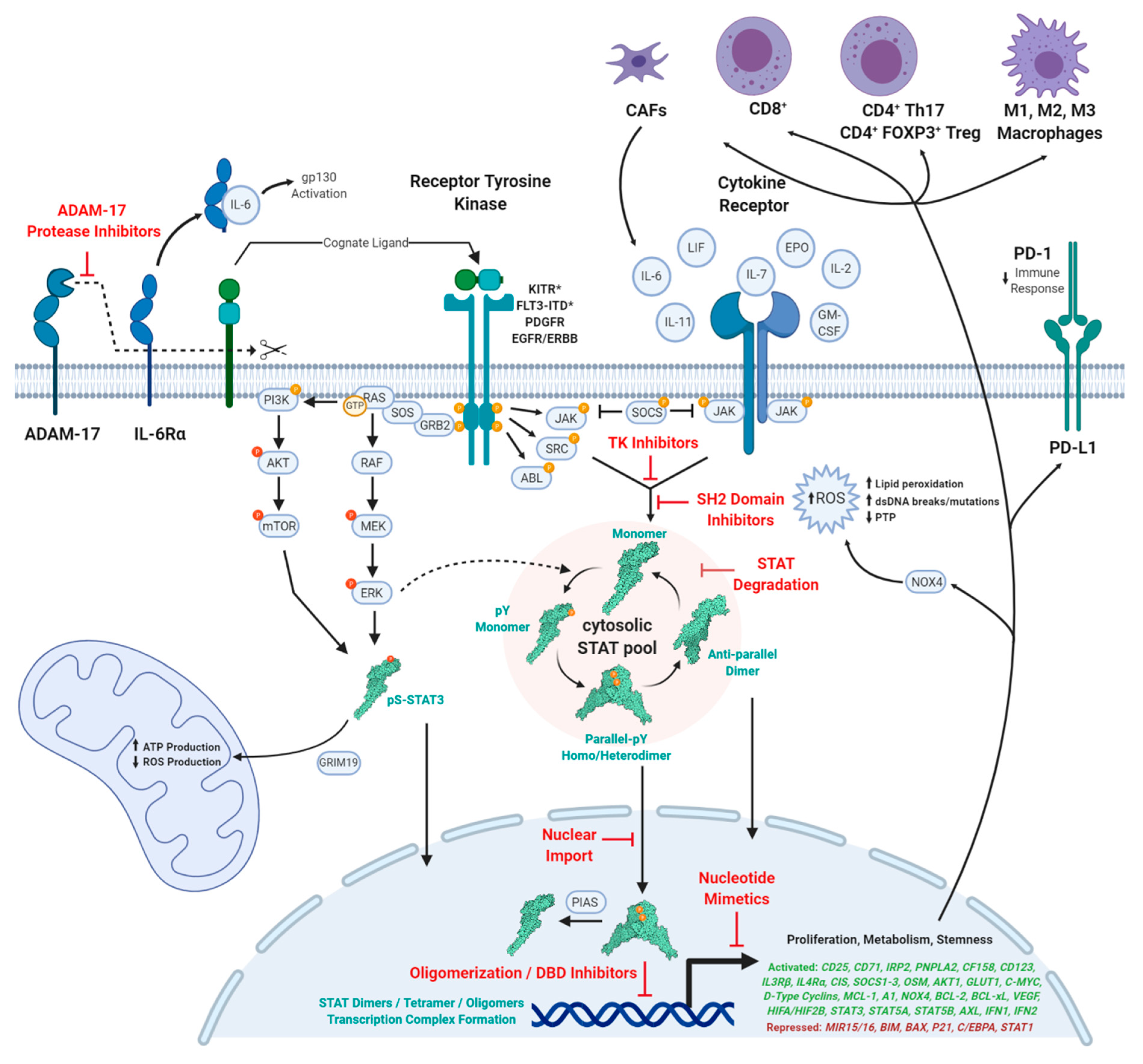 Cancers 12 02002 g001 Cancers 12 02002 g001