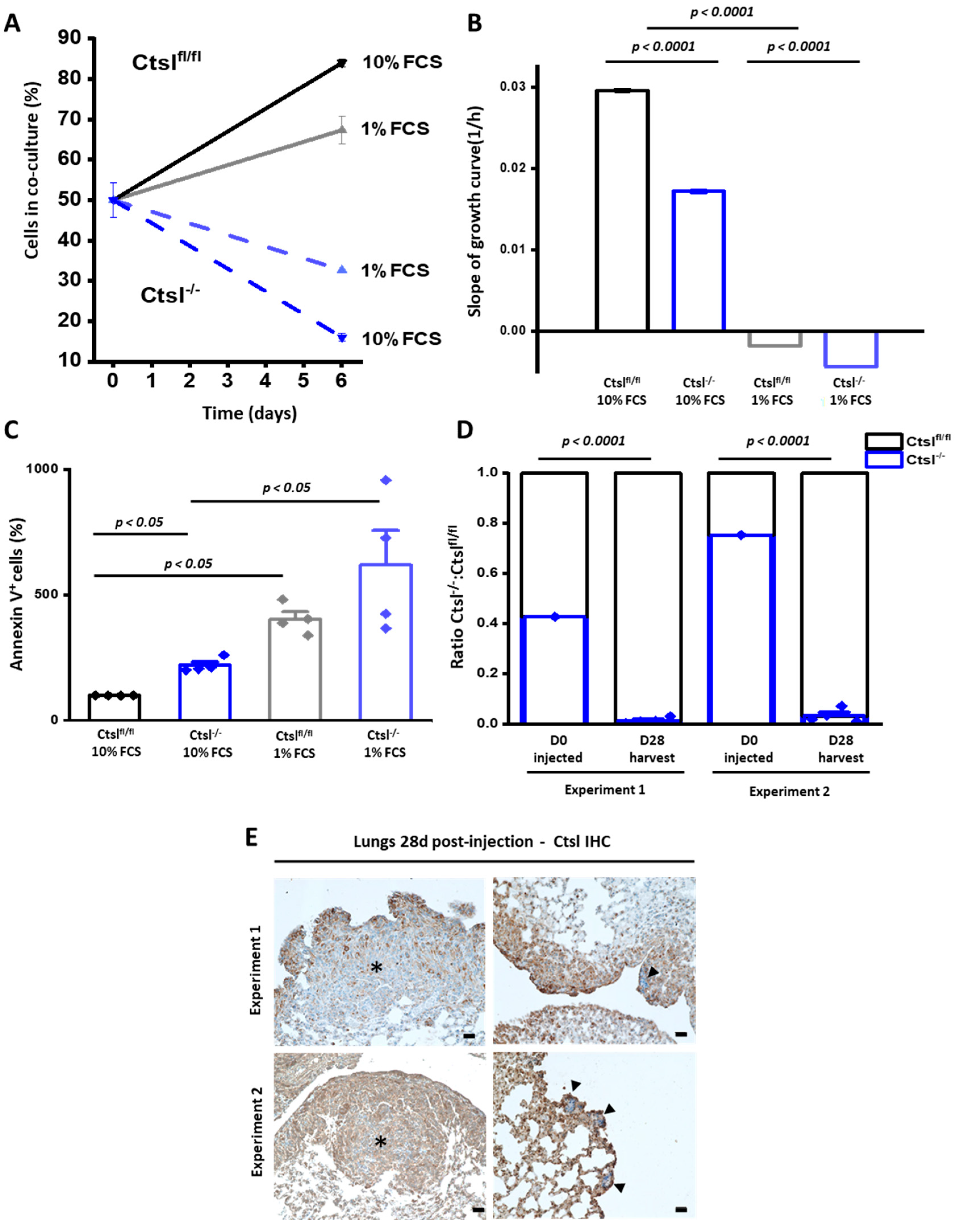Cancers 12 02004 g005