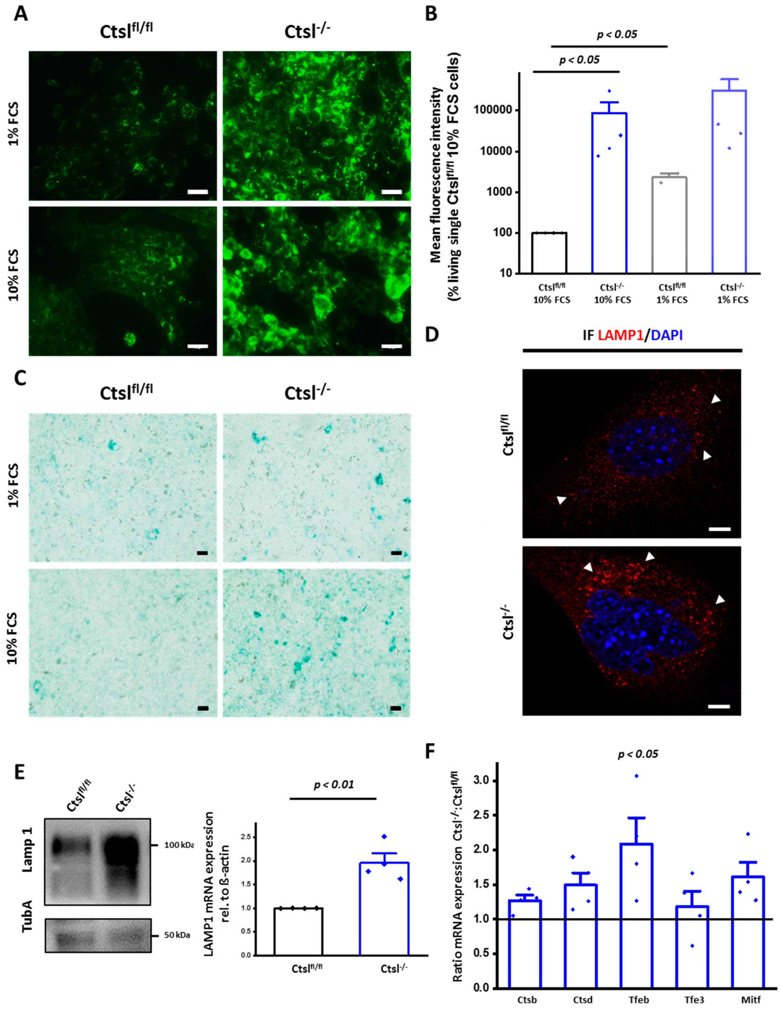 Cancers 12 02004 g006
