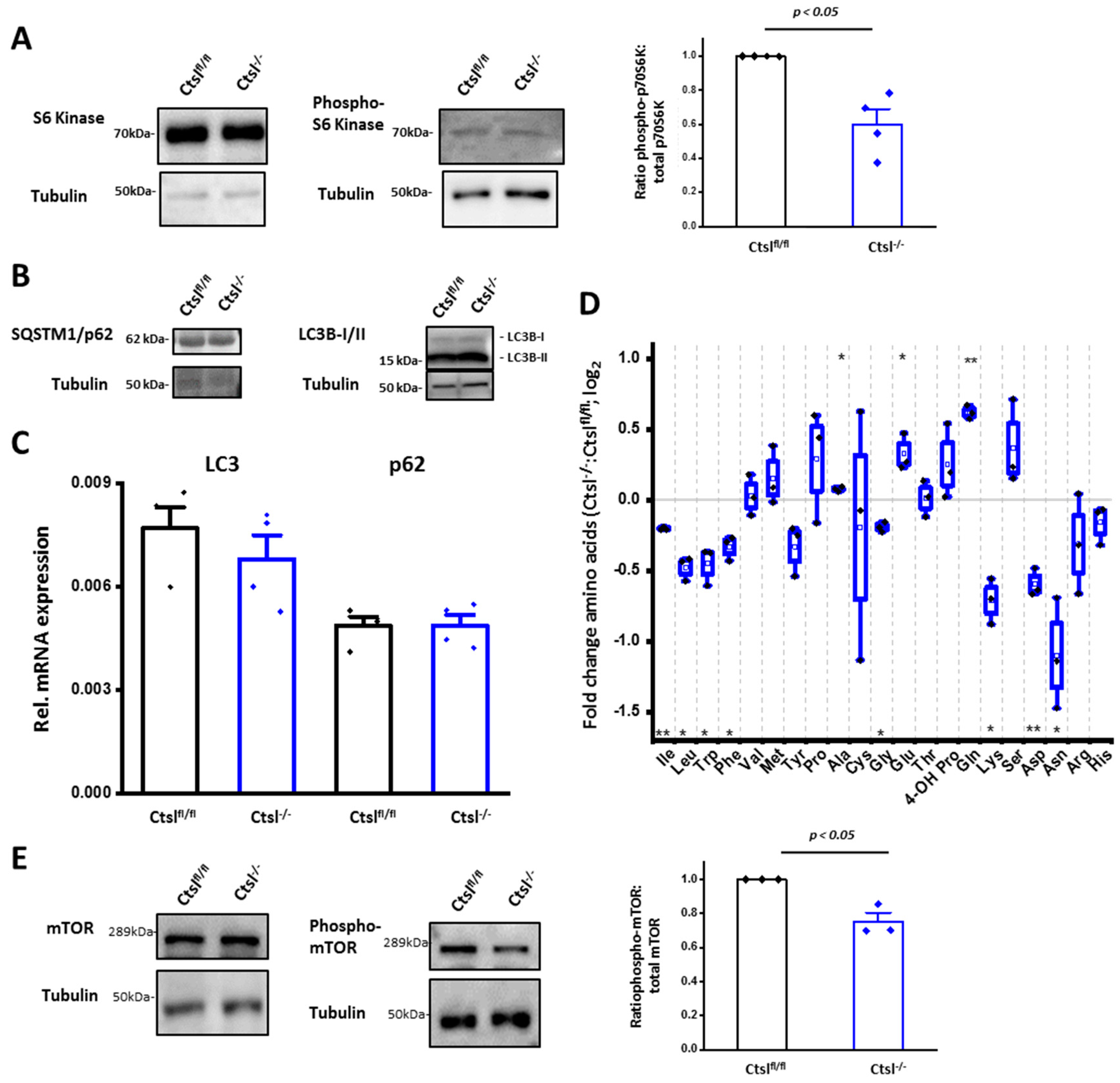 Cancers 12 02004 g007