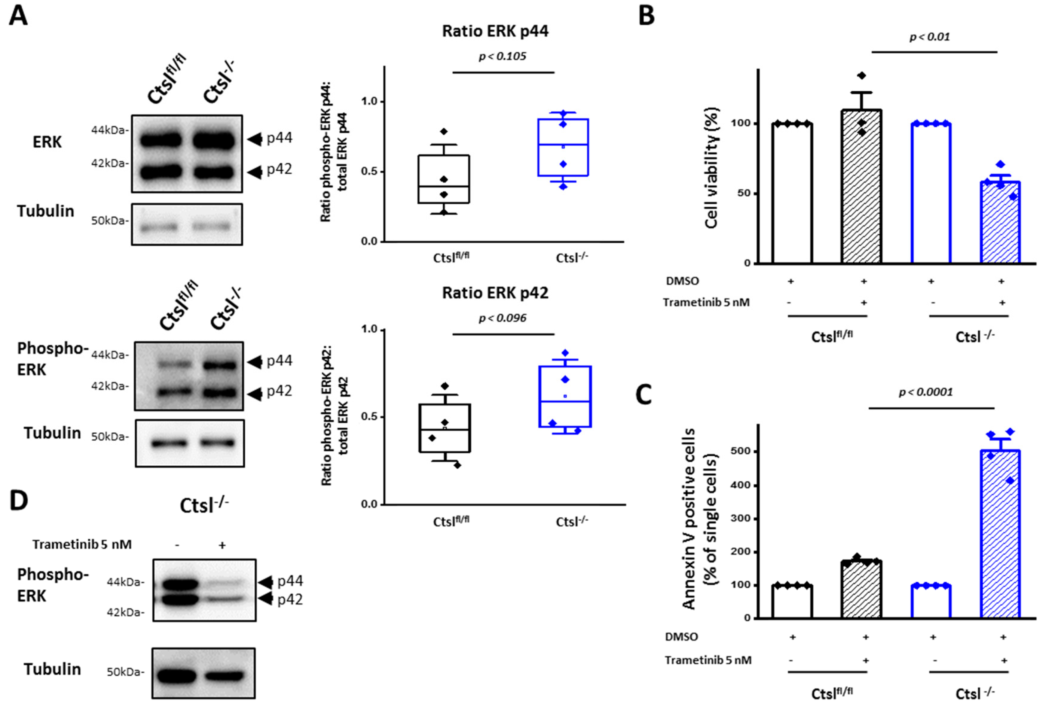 Cancers 12 02004 g008