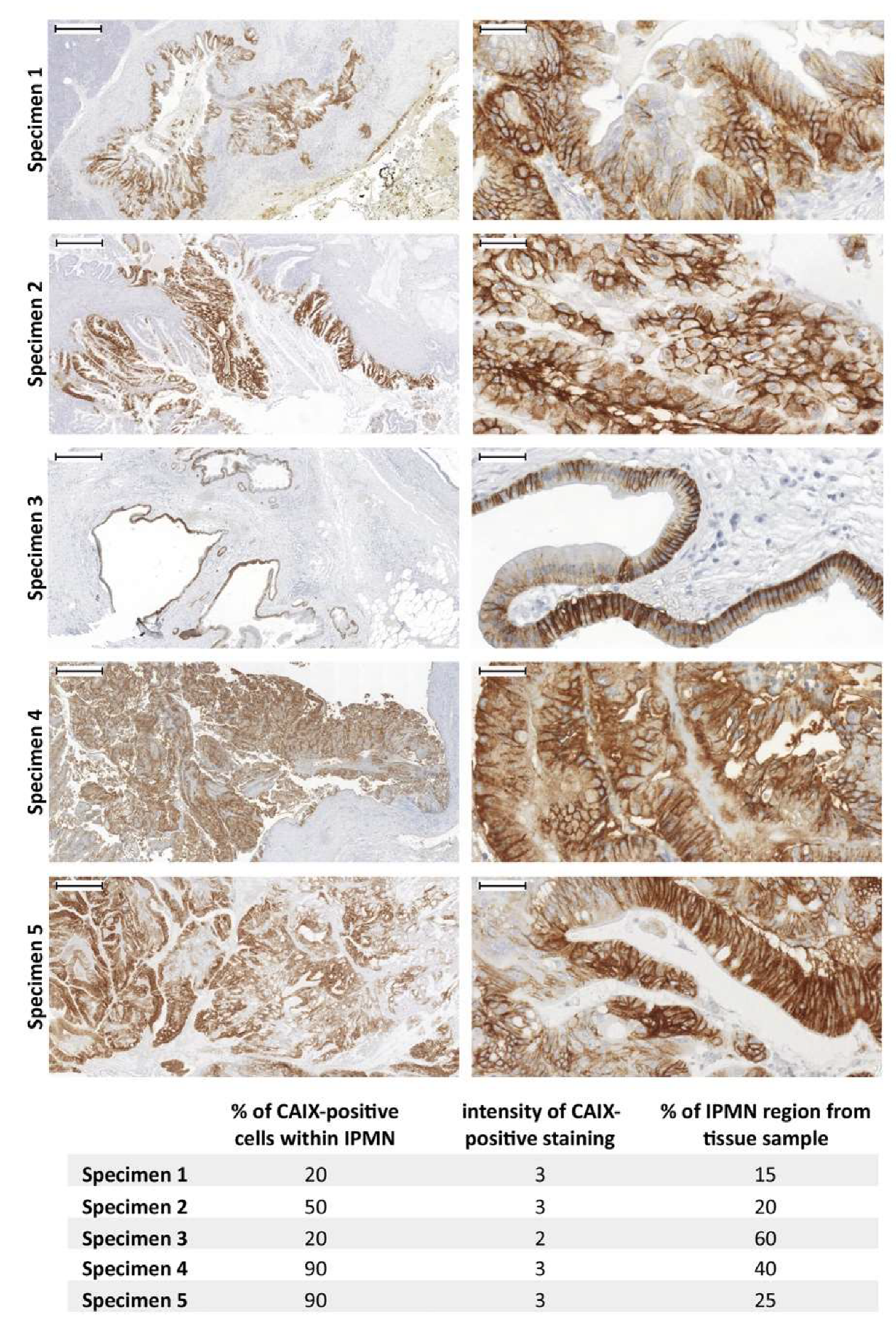 Cancers 12 02005 g006