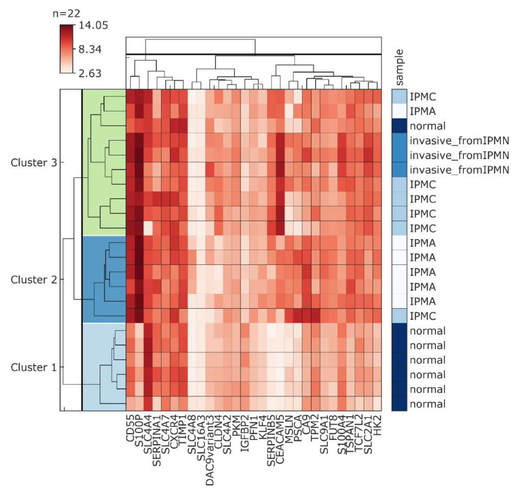 Cancers 12 02005 g007