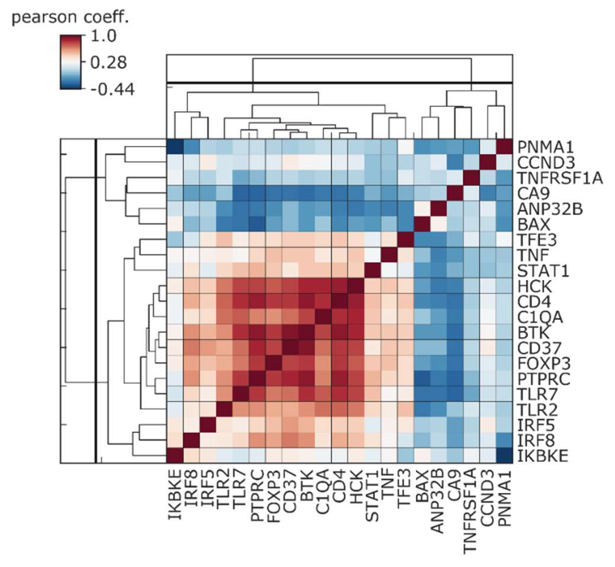 Cancers 12 02005 g009
