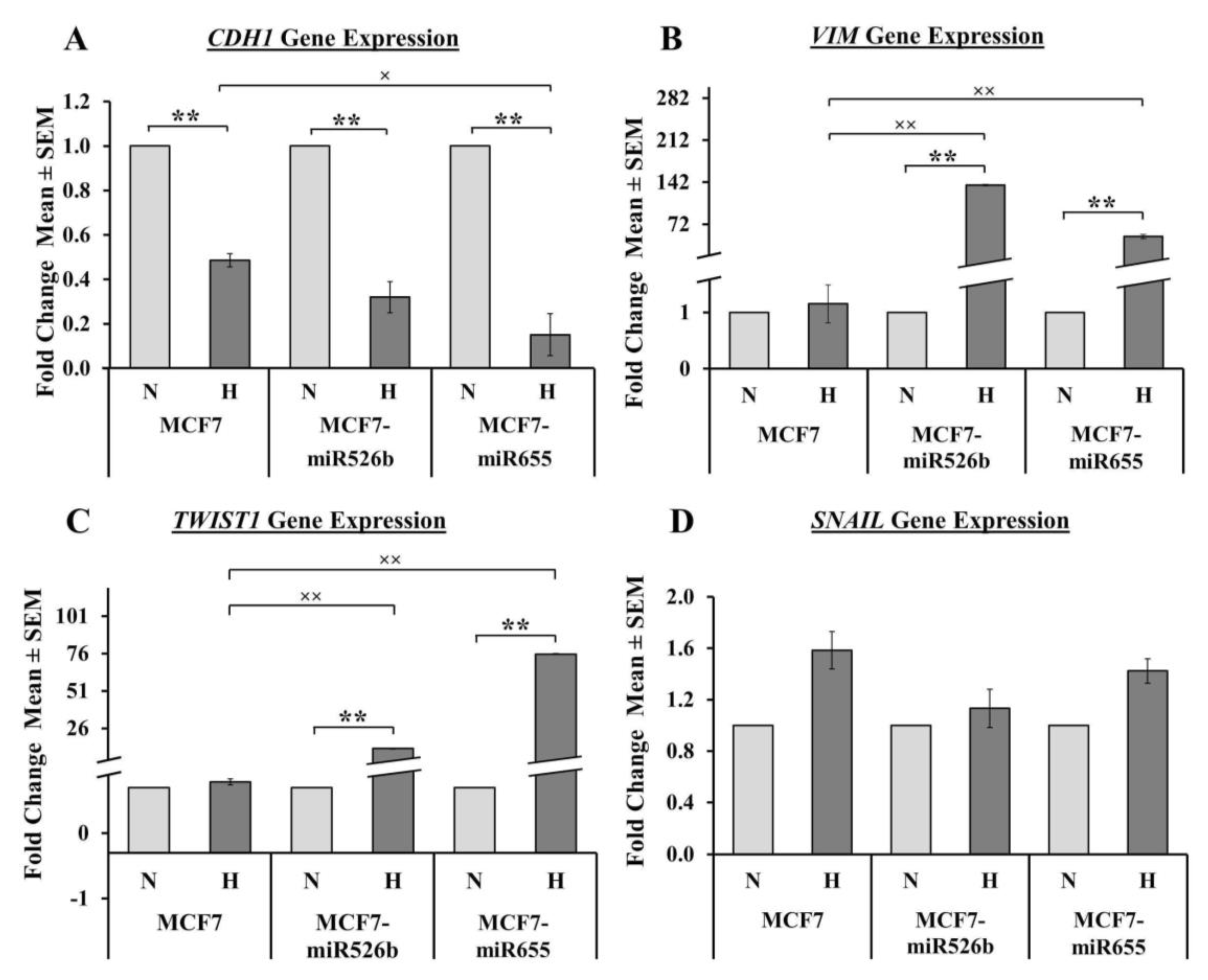 Cancers 12 02008 g004