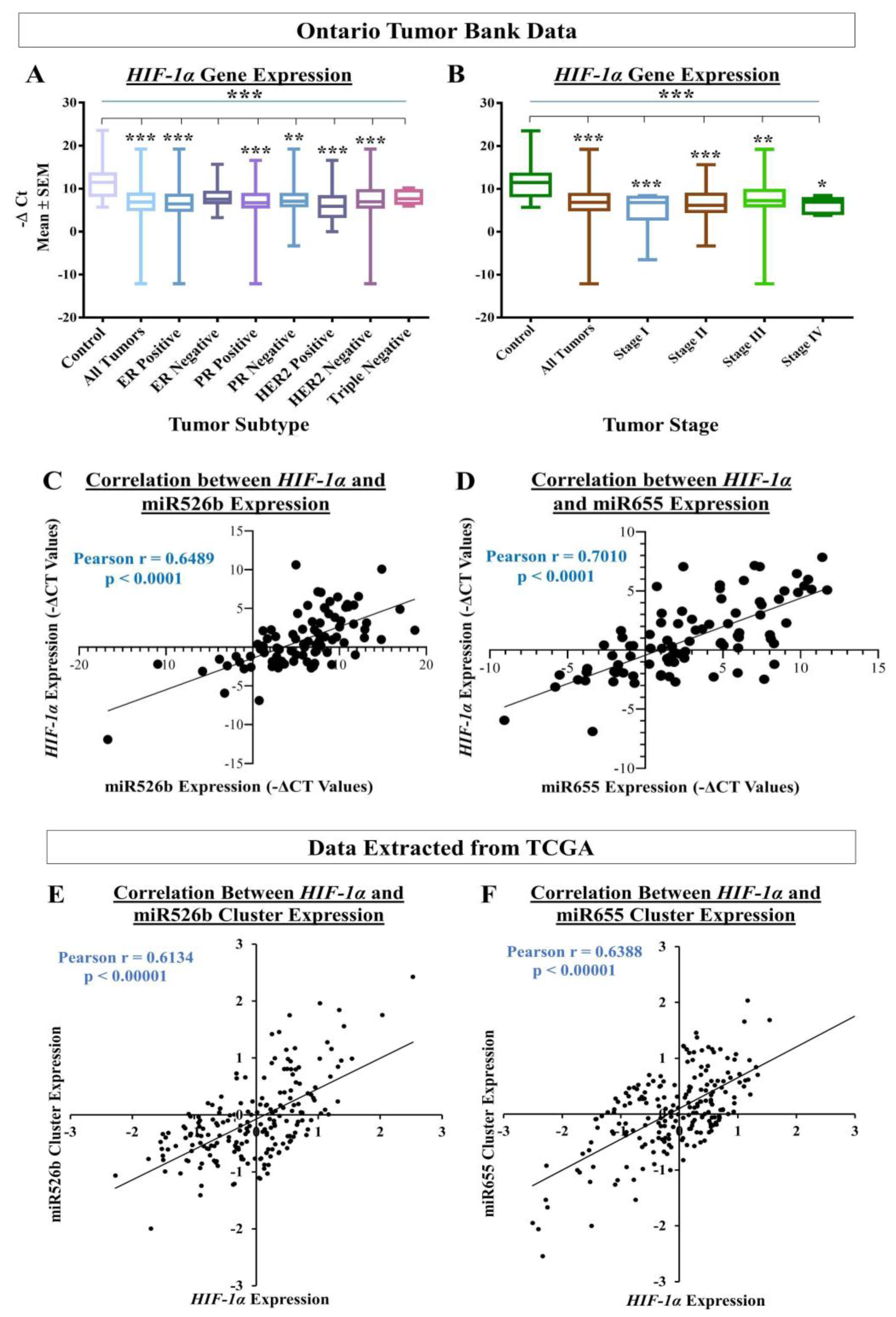 Cancers 12 02008 g012