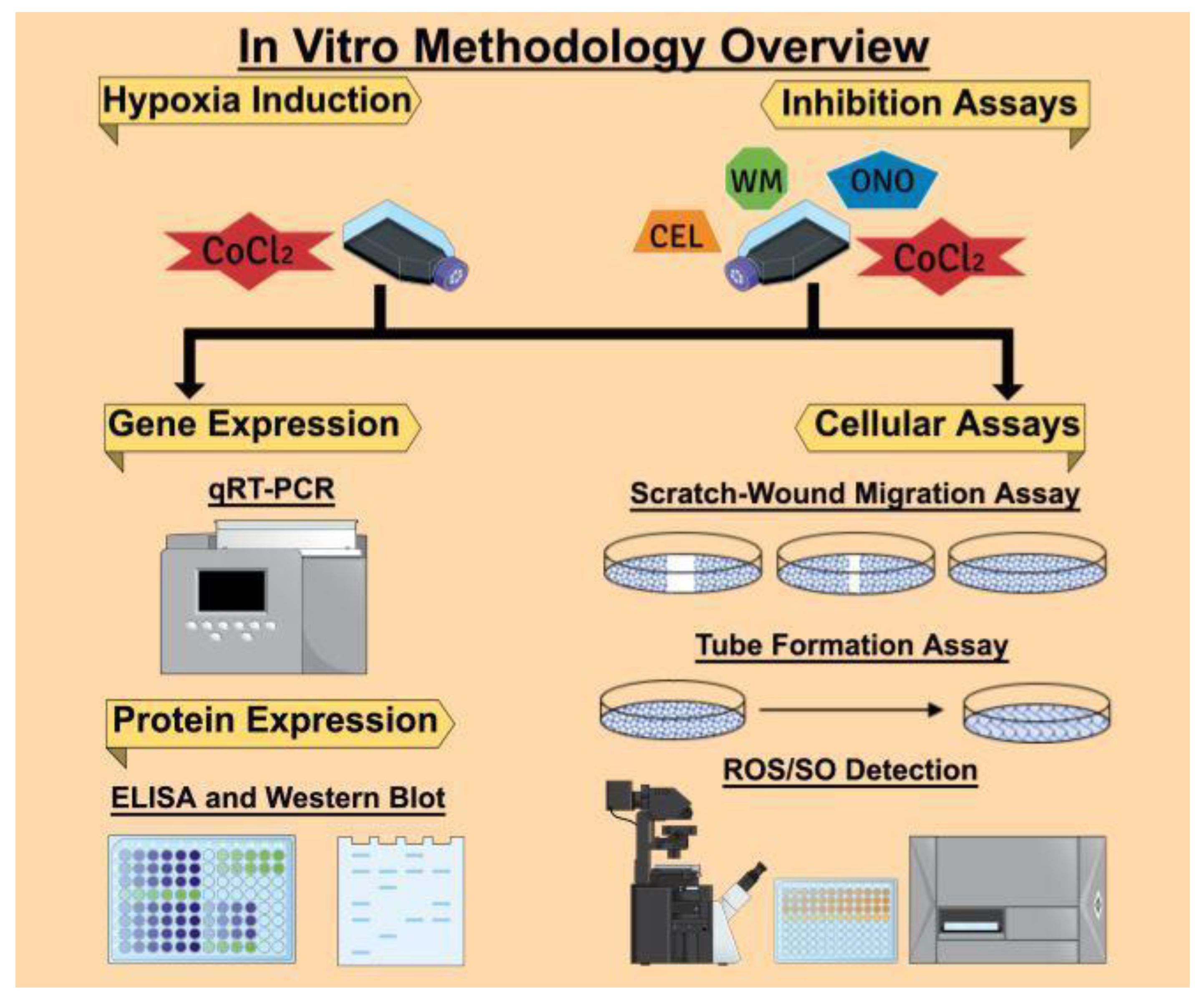 Cancers 12 02008 g013