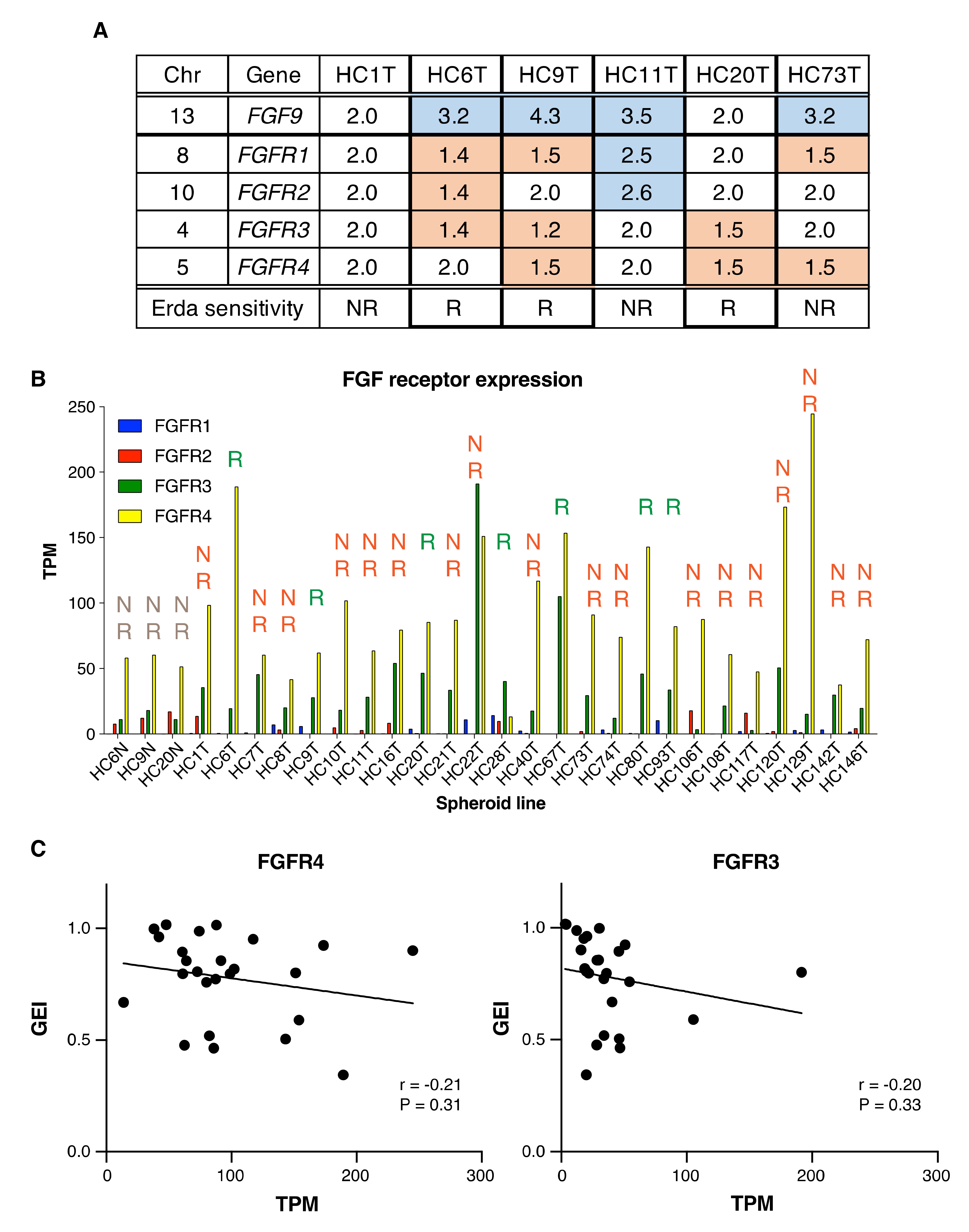 Cancers 12 02010 g005