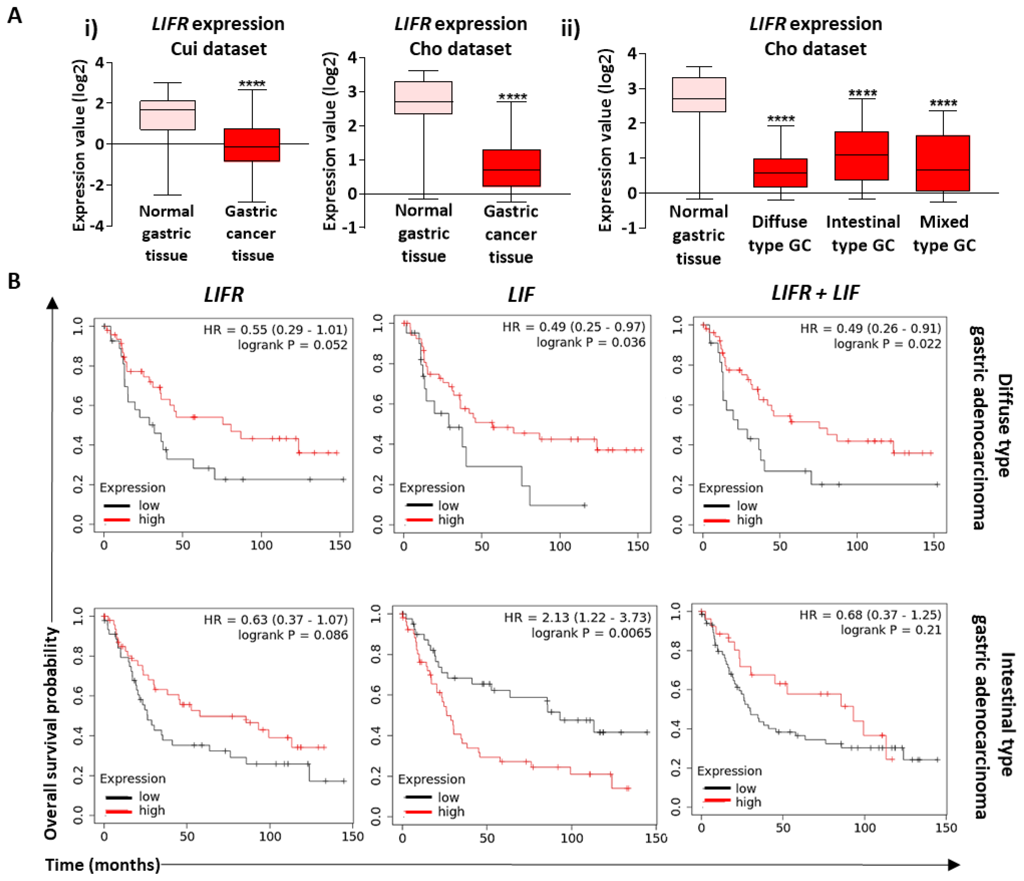 Cancers 12 02011 g007