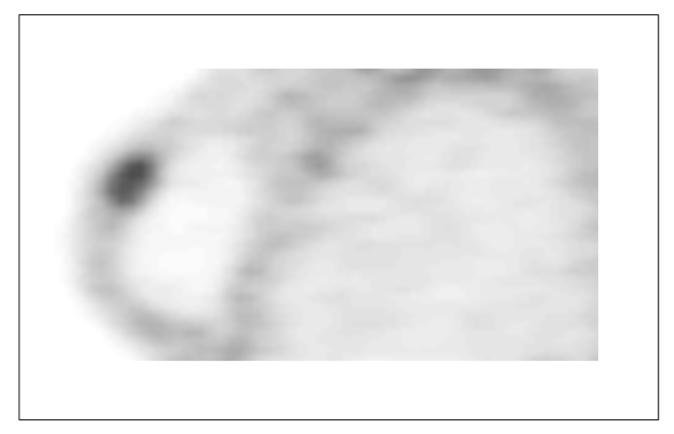 Cancers 12 02020 g020 Cancers 12 02020 g020