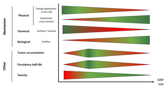 Gold Nanoparticles as a Potent Radiosensitizer: A