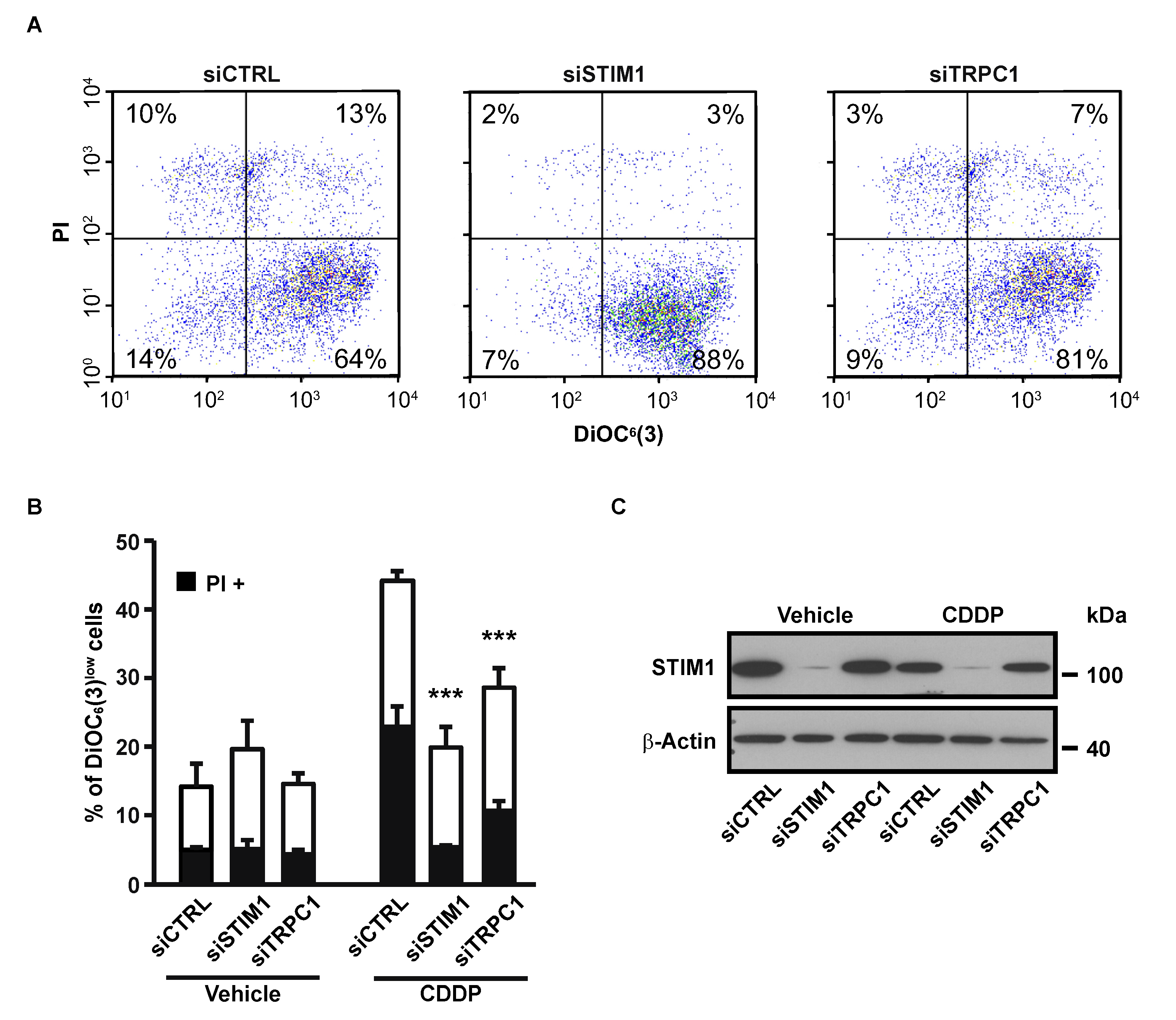 Cancers 12 02023 i001