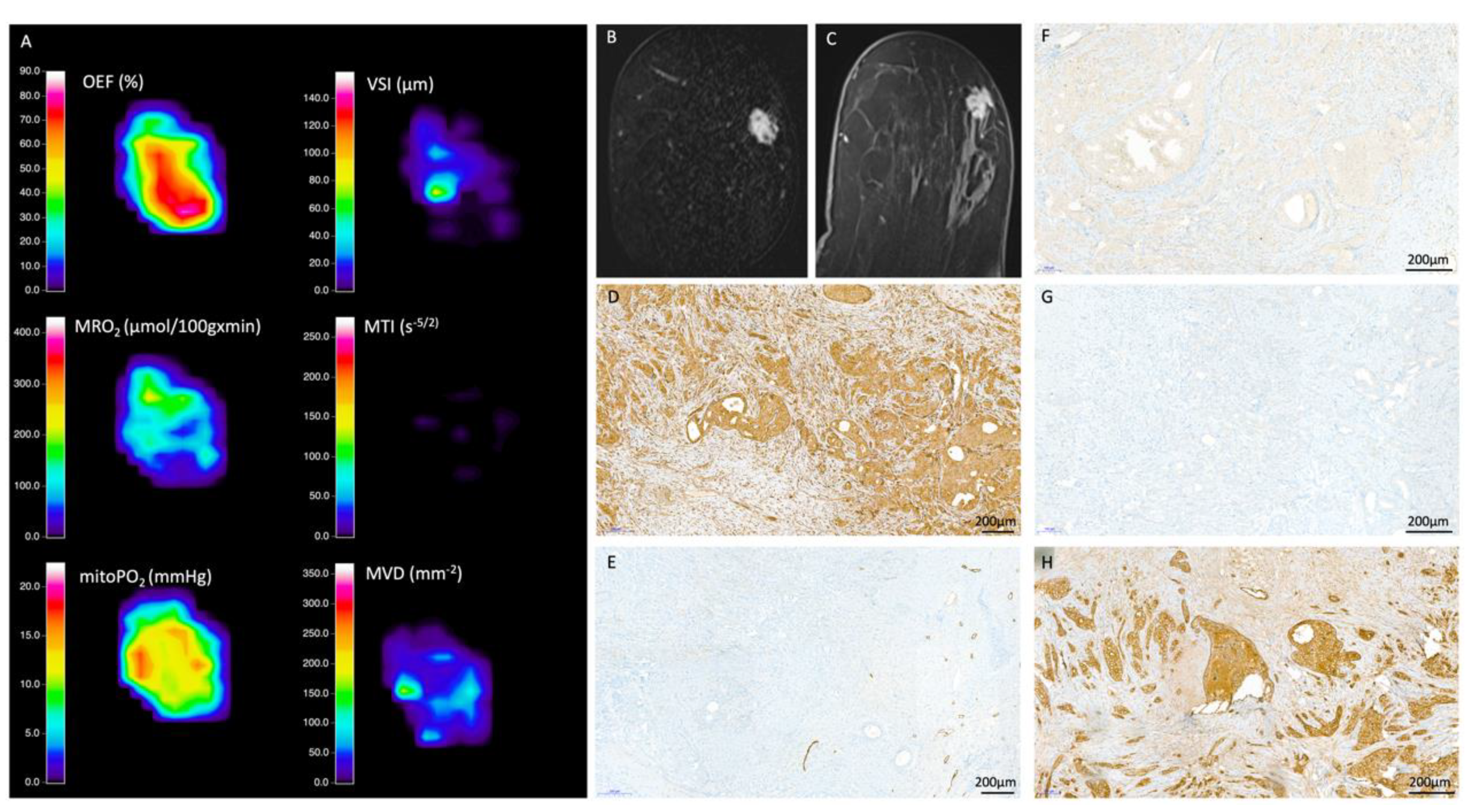 Cancers 12 02024 g001 Cancers 12 02024 g001