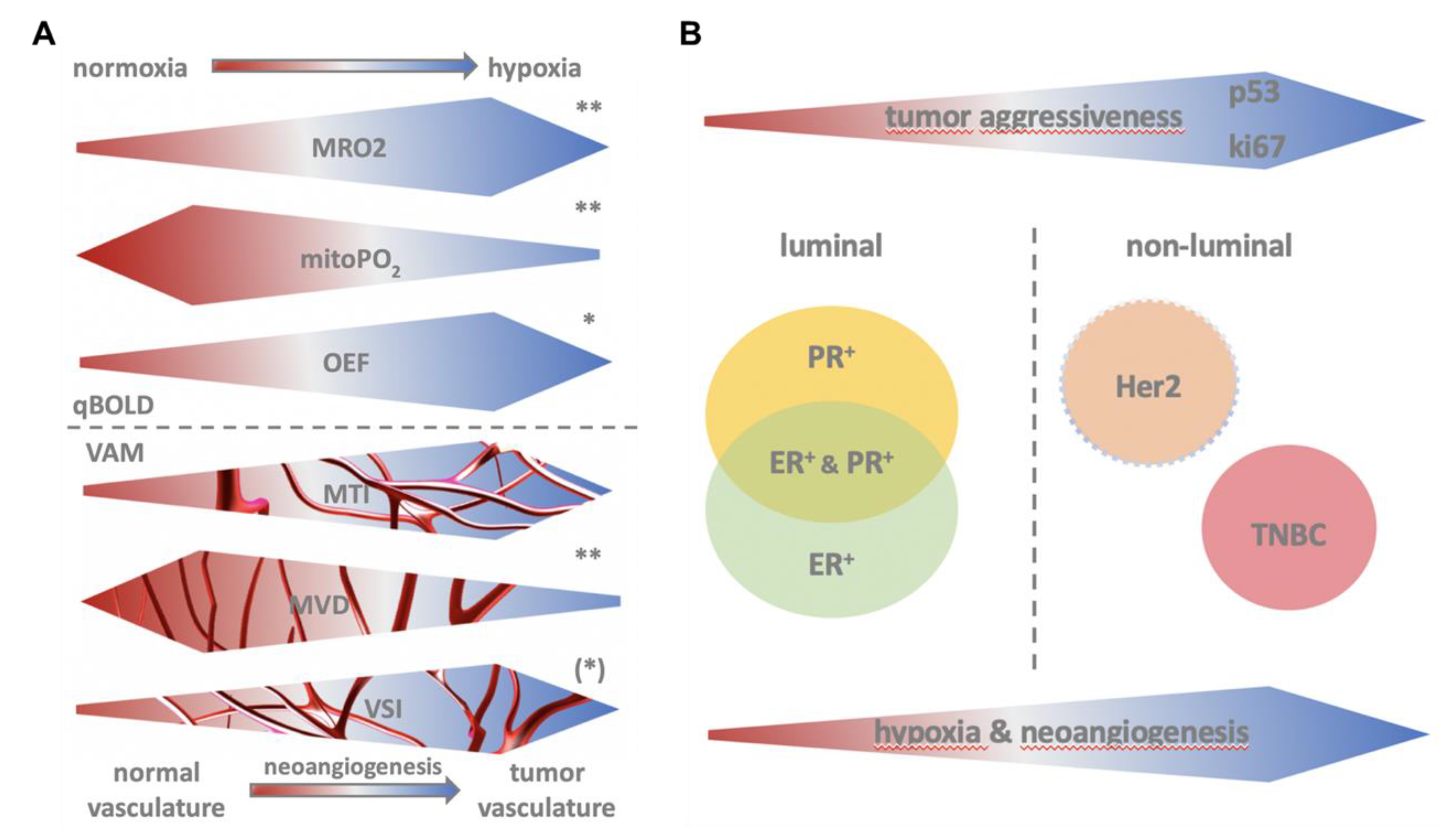 Cancers 12 02024 g006 Cancers 12 02024 g006